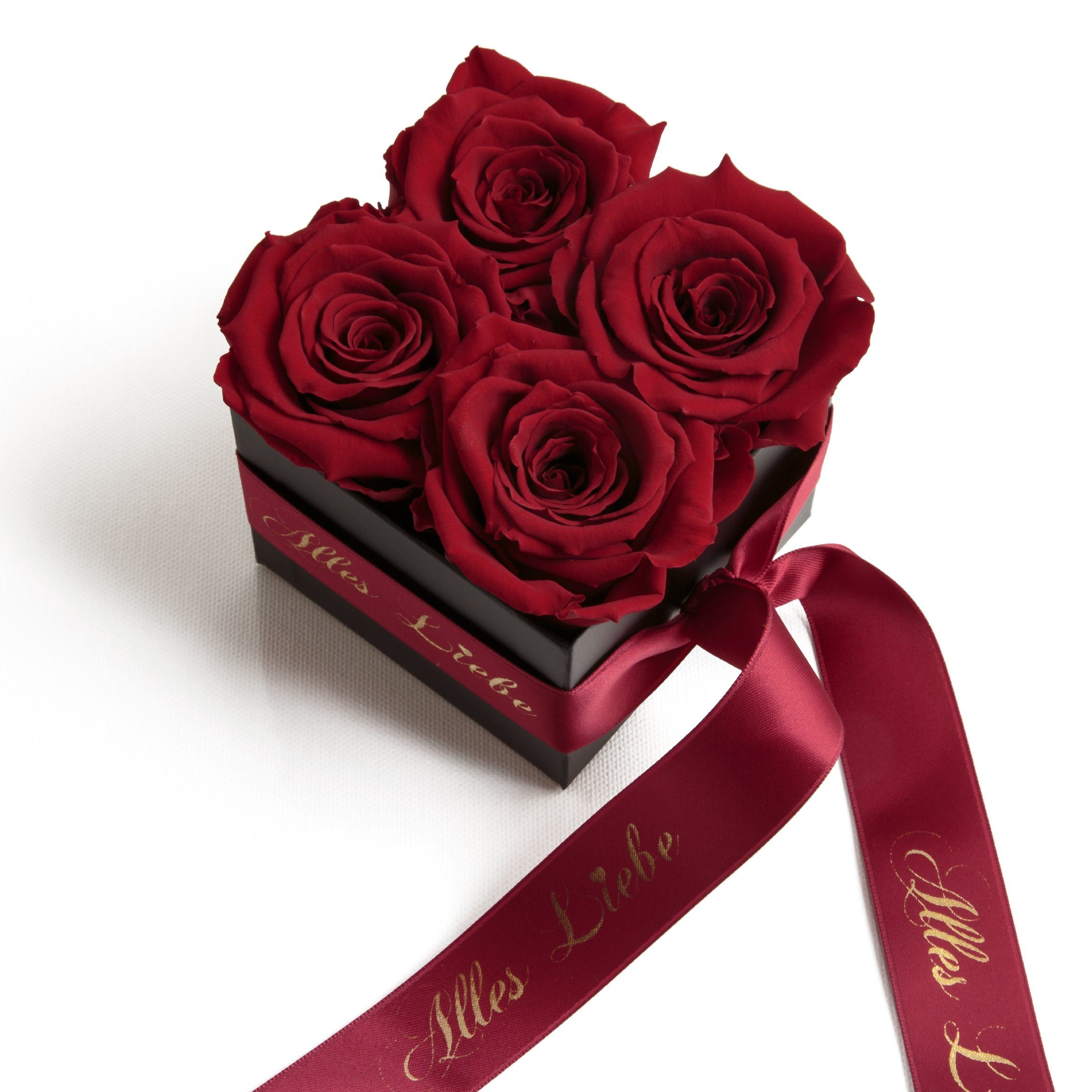 Rose, konservierte Heidelberg, Alles 8,5 cm, SCHULZ Muttertag Liebe Kunstblumenstrauß Burgundy Geschenk Blumen ROSEMARIE Infinity Rosenbox Rosen Höhe echte