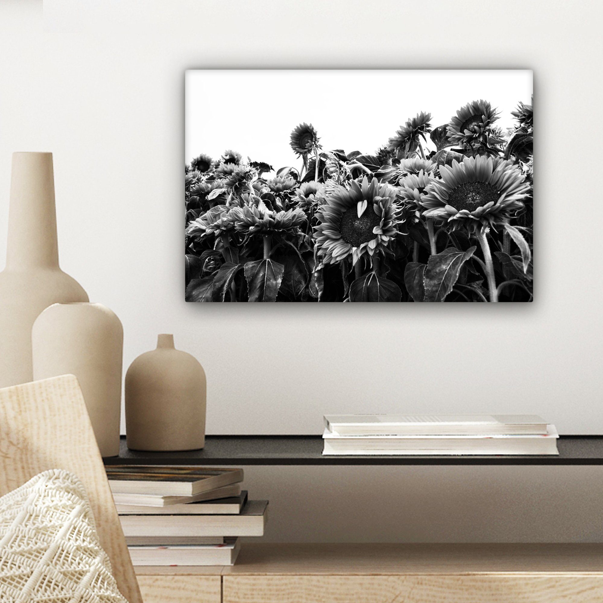 bunt Leinwandbilder, und 30x20 St), in (1 Wandbild Leinwandbild schwarz OneMillionCanvasses® Holland cm weiß, Wanddeko, Aufhängefertig, Sonnenblumen