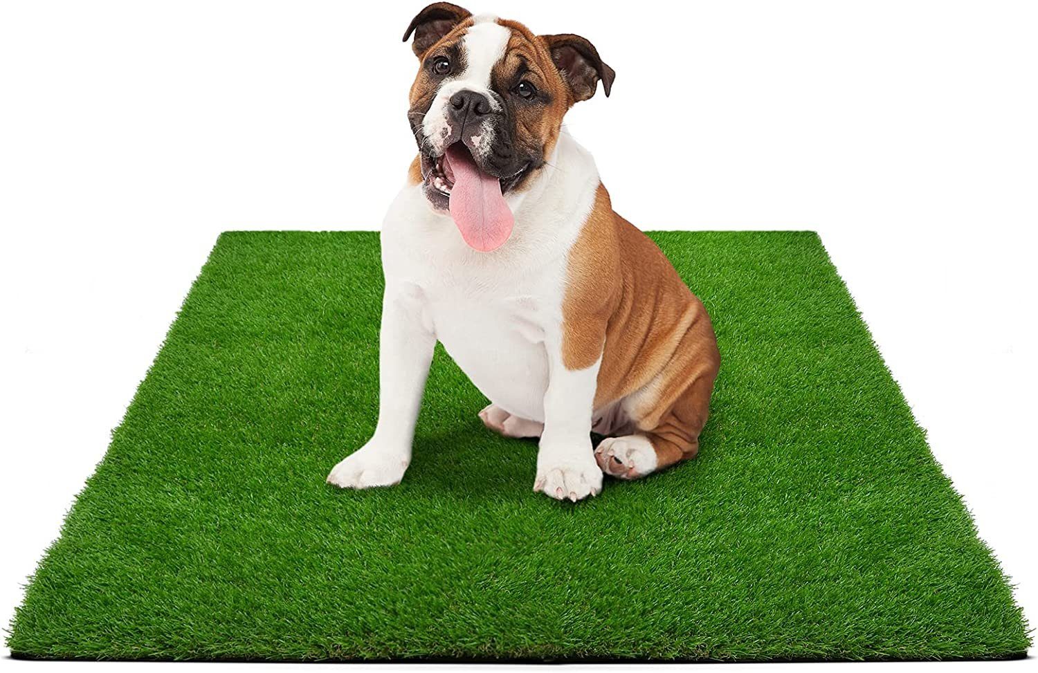 Hundetoilette Trainingsunterlage für Welpen