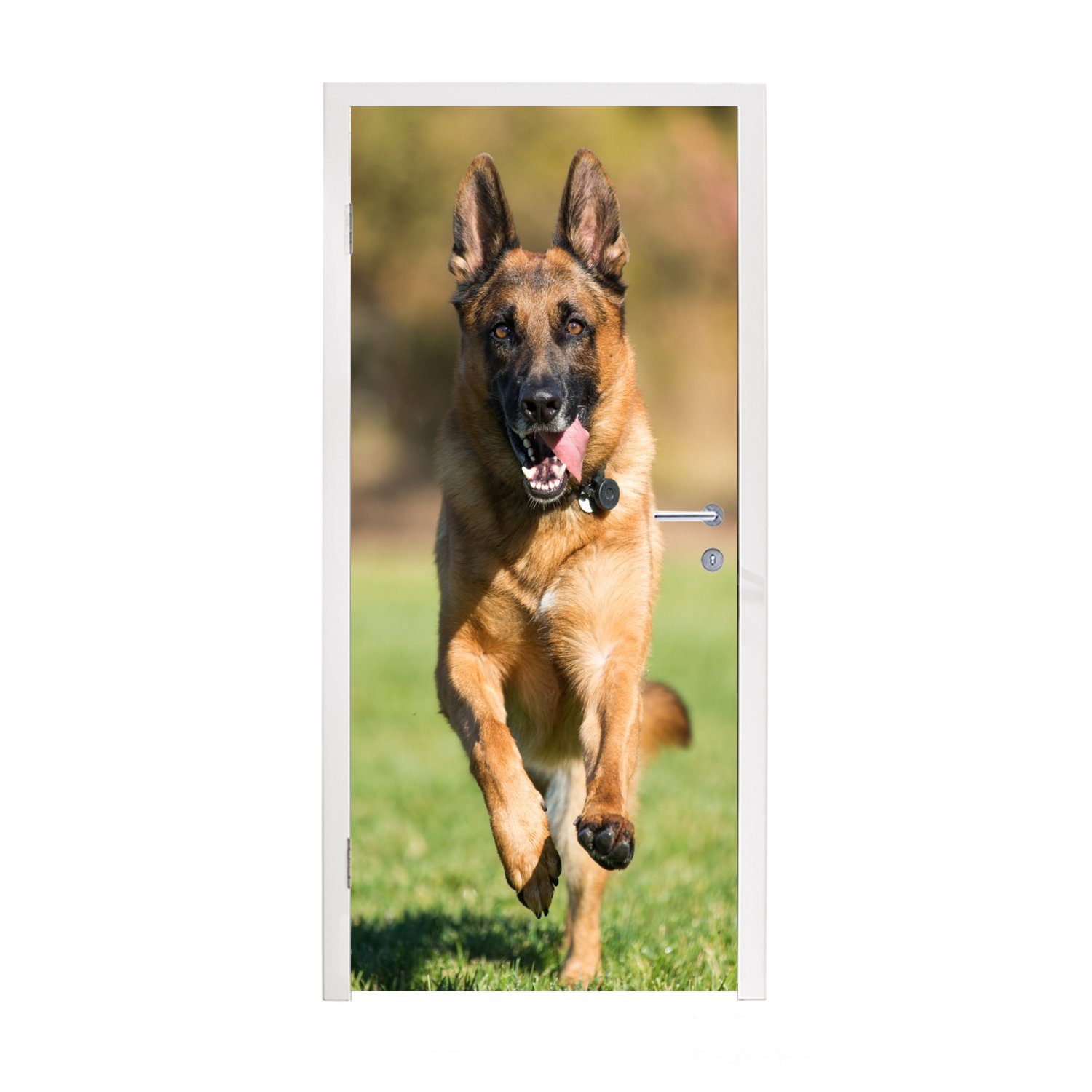 MuchoWow Türtapete Ein Deutscher Schäferhund sprintet durch das grüne Gras, Matt, bedruckt, (1 St), Fototapete für Tür, Türaufkleber, 75x205 cm