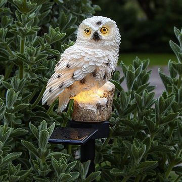 STAR TRADING LED Dekolicht Owl, Star Trading Solar Wegeleuchte Owl