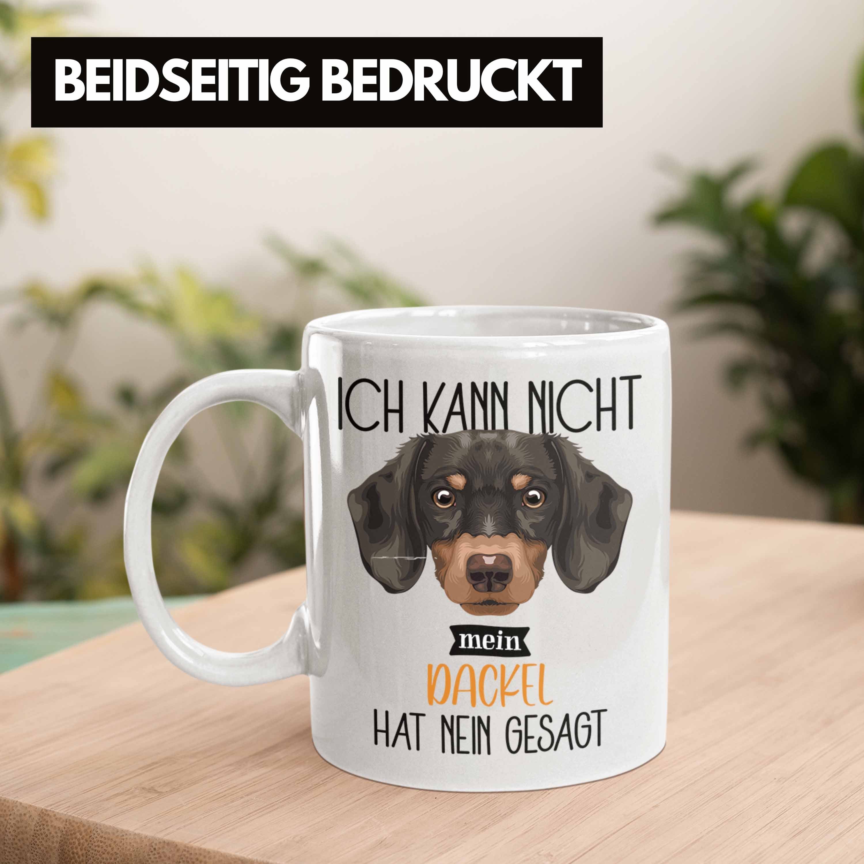 Geschenk Trendation Tasse Lustiger Besitzer Weiss Dackel Tasse Kann Ich Spruch N Geschenkidee