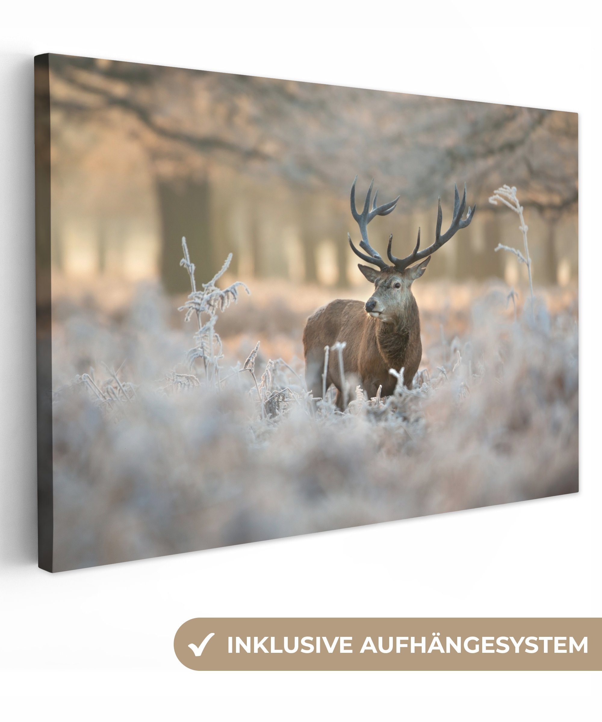 OneMillionCanvasses® Leinwandbild Hirsche - Tiere - Winter, Fotodruck (1 St günstig online kaufen