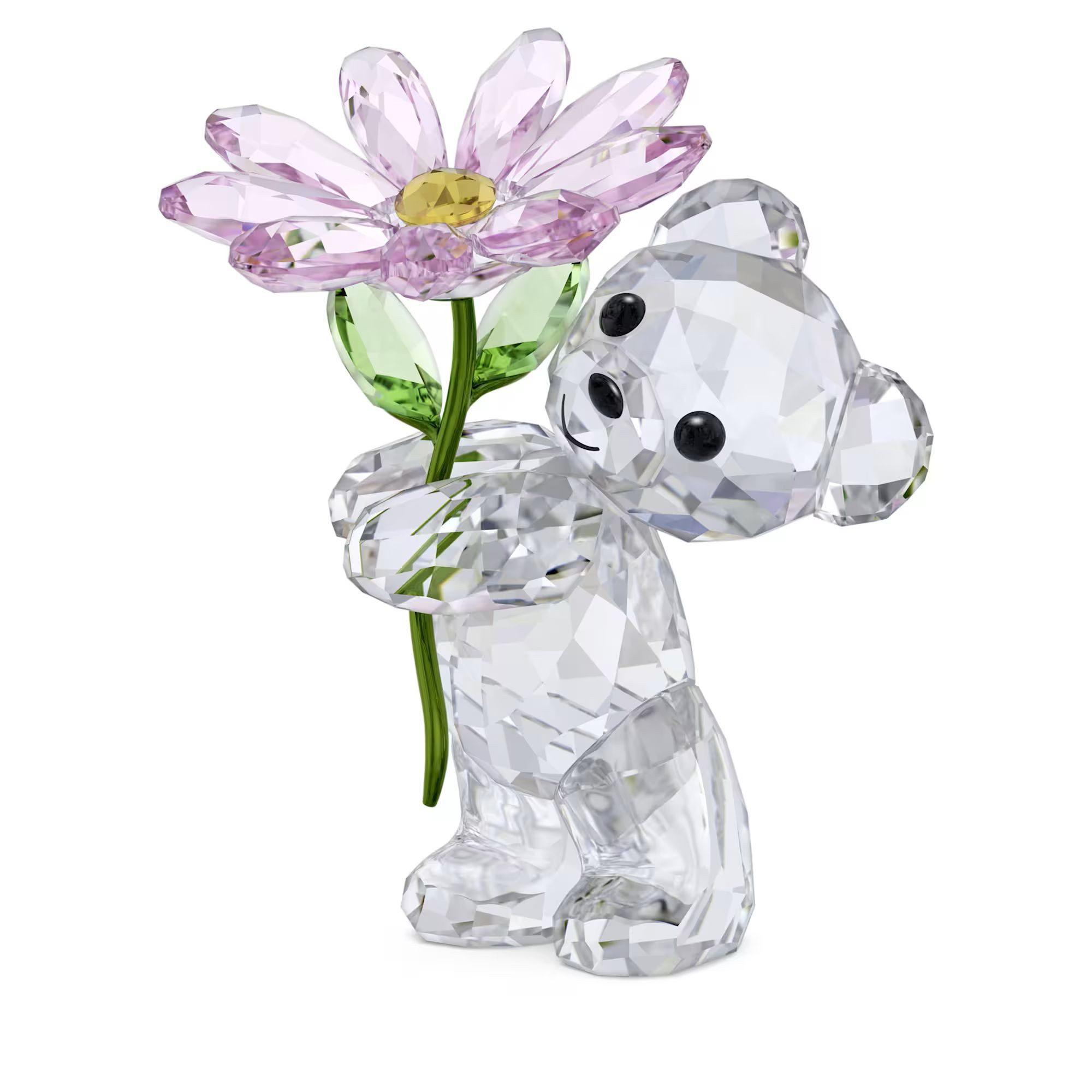 Swarovski Dekofigur Kris Bär Ein Gänseblümchen für Dich 5675327