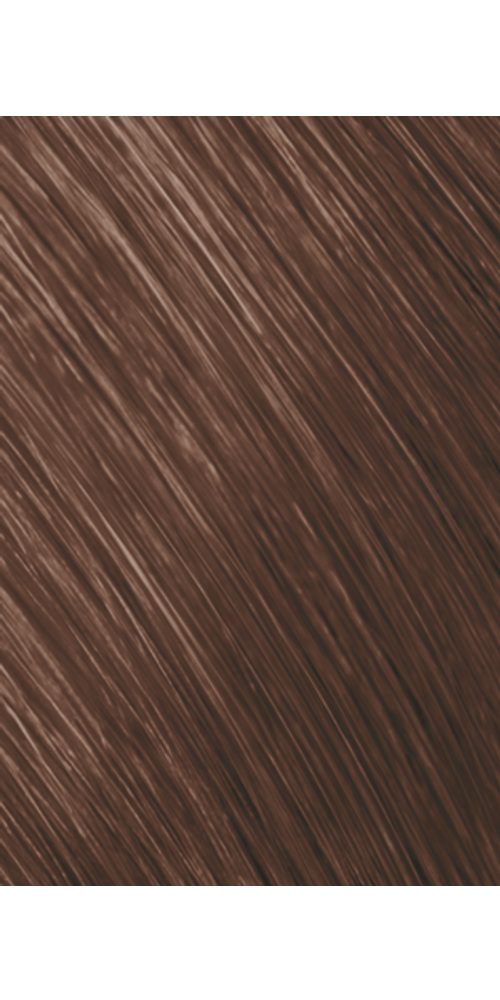 Goldwell Haarfarbe Goldwell Topchic Hair Color Tube 6GB 60ml