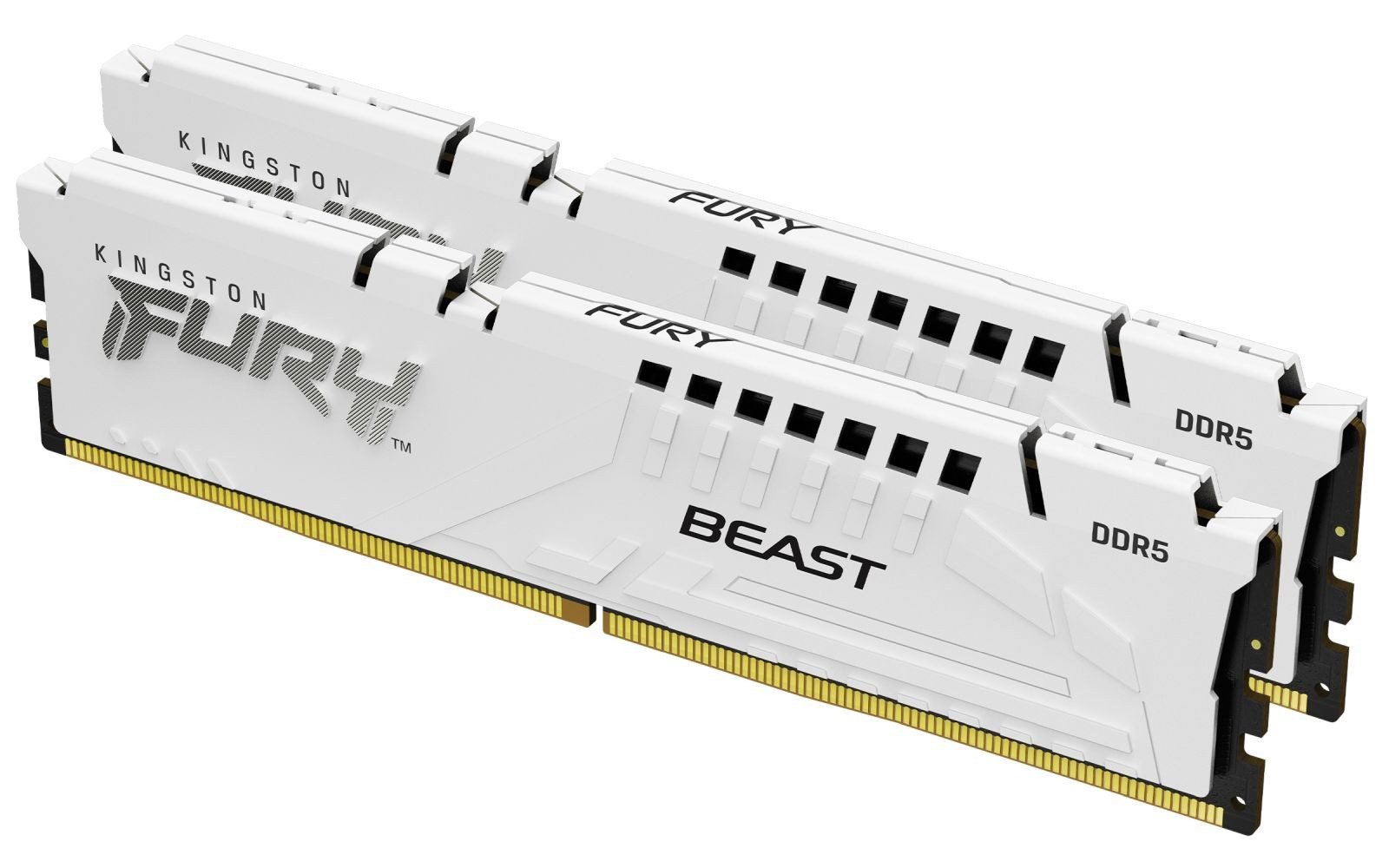 Kingston FURY Beast - DDR5 - Kit - 64 GB: 2 x PC-Arbeitsspeicher
