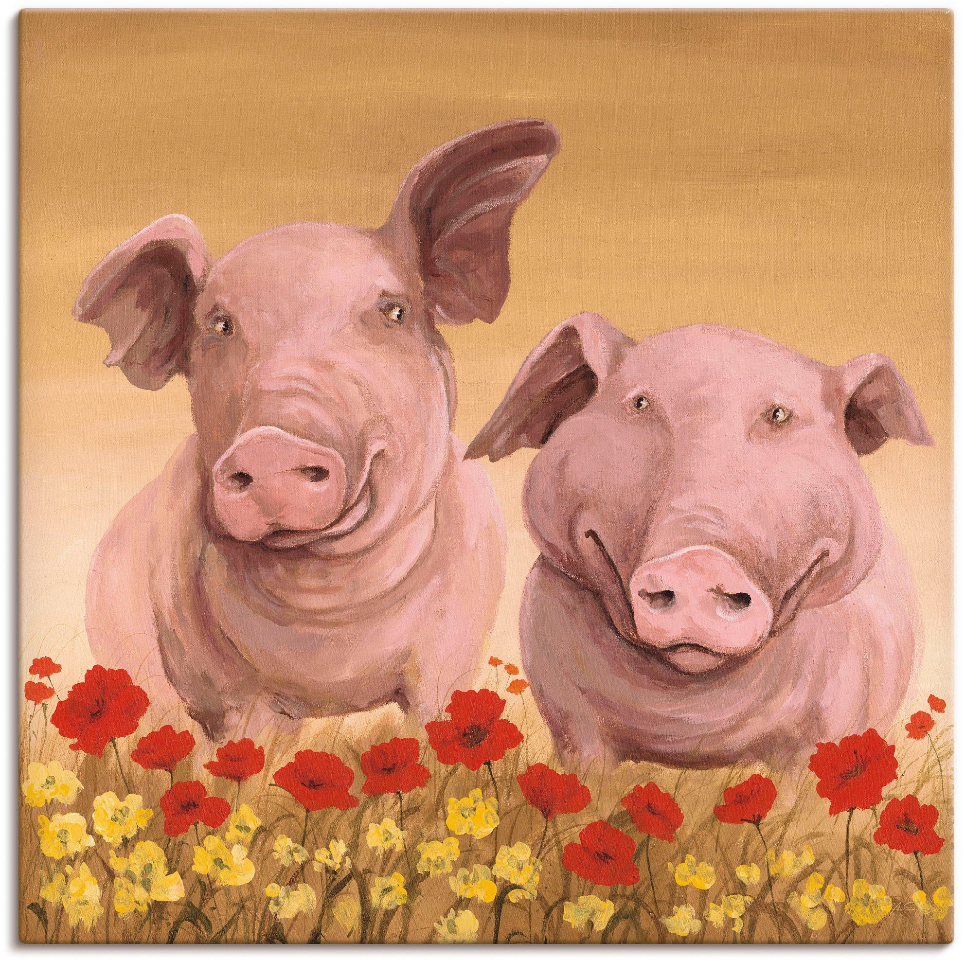Wandbild als oder Haustiere (1 Poster Alubild, in Schweine, versch. Leinwandbild, Größen St), Artland Wandaufkleber