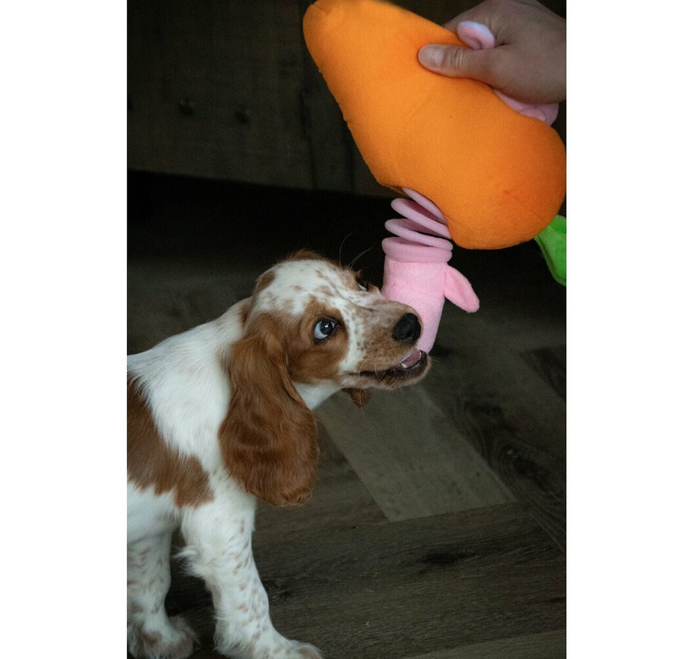 Thumbnail - Holland Animal Care Tierkuscheltier Double Wobble Carrot Conejos