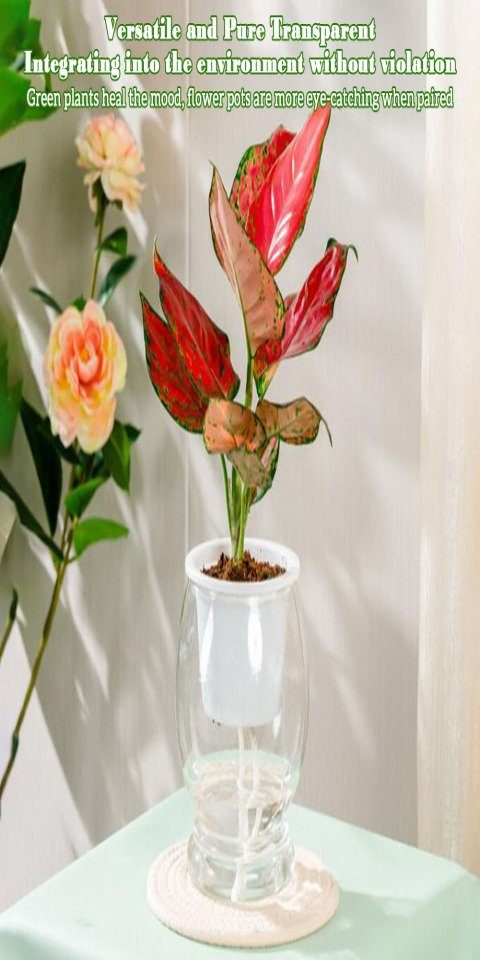 Rein Einfacher, Blusmart Transparentes Blumentopf Blumentopf, Selbstabsorbierender