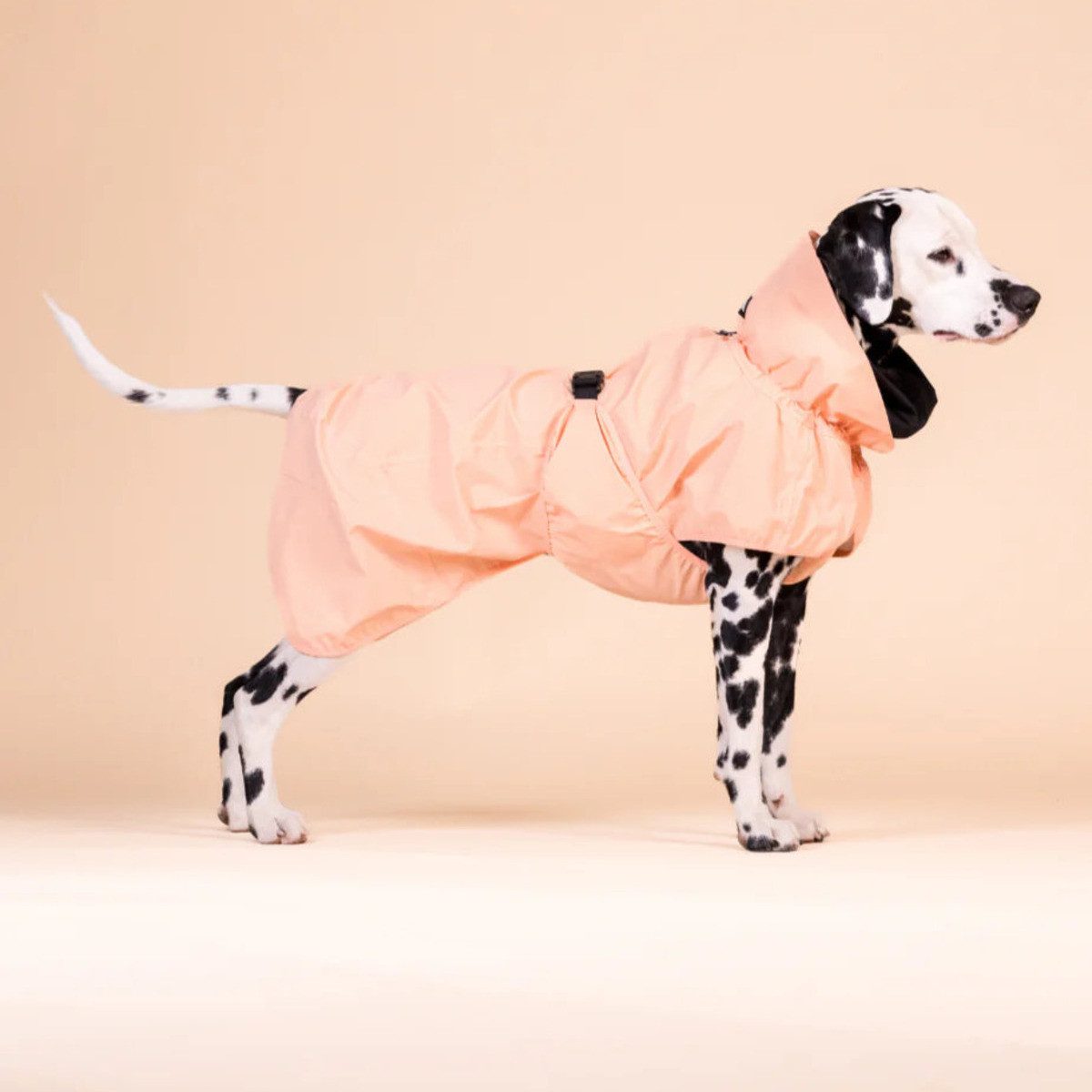 PAIKKA Hunderegenmantel Hunde Regenmantel reflektierend "Visibility Raincoat" pfirsich