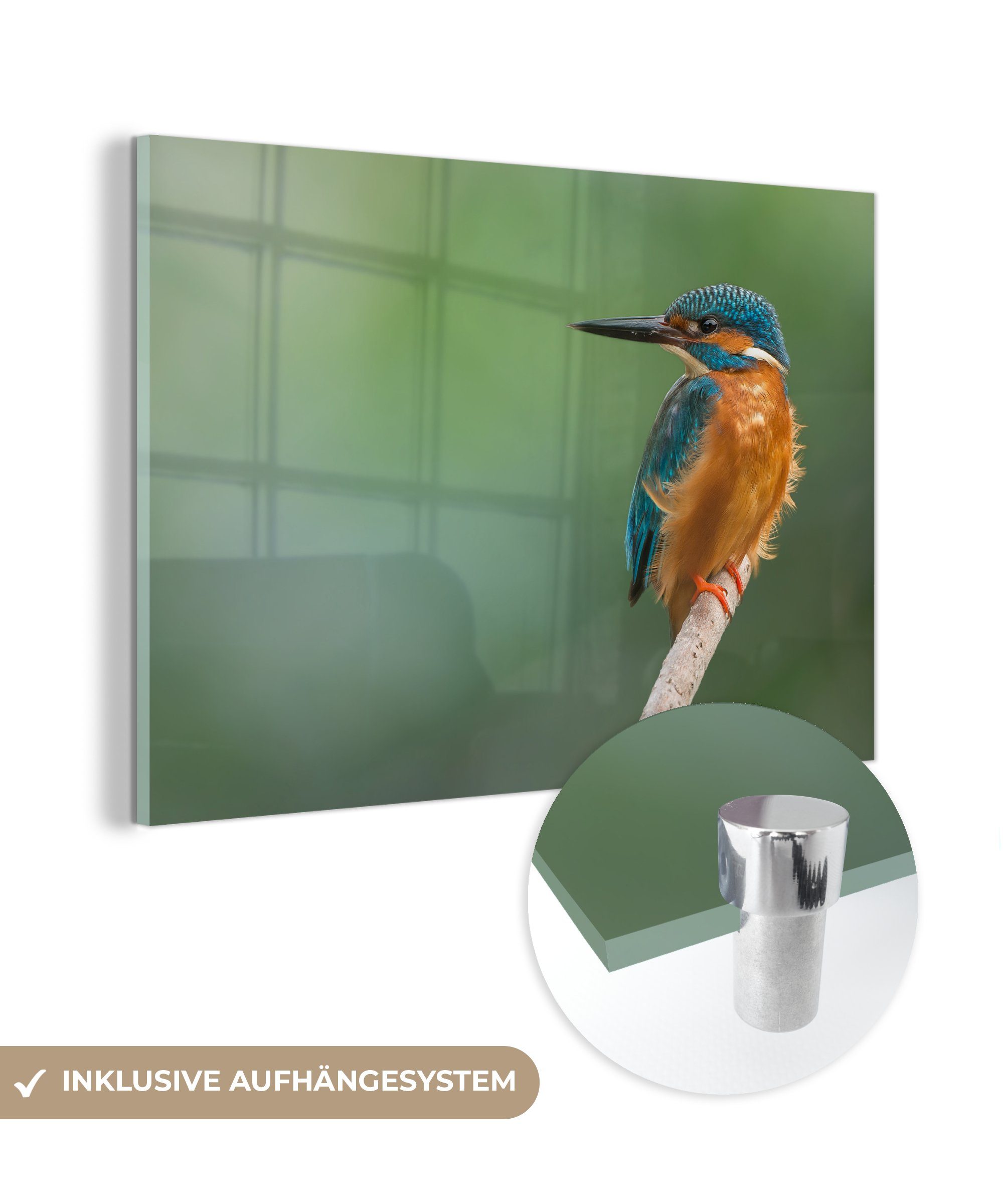 MuchoWow Acrylglasbild Eisvogel - Äste - Beute, (1 St), Acrylglasbilder Wohnzimmer & Schlafzimmer
