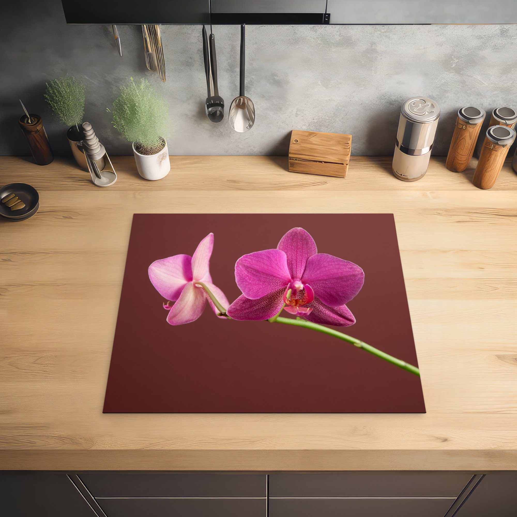 küche, die (1 Ceranfeldabdeckung Orchideen MuchoWow tlg), Induktionsmatte 59x52 Rosa, für Vinyl, Blumen - Herdblende-/Abdeckplatte cm, -