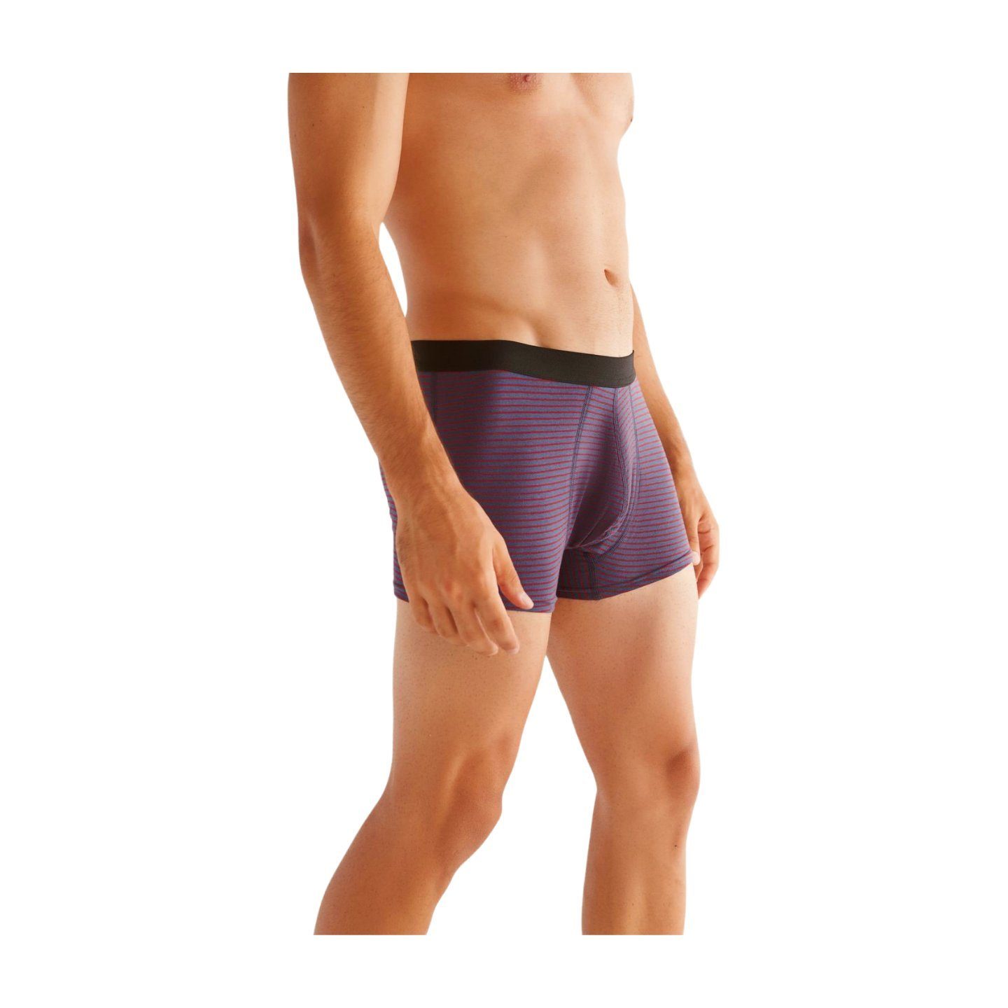 Albero Natur Boxershorts Trunk Shorts günstig online kaufen