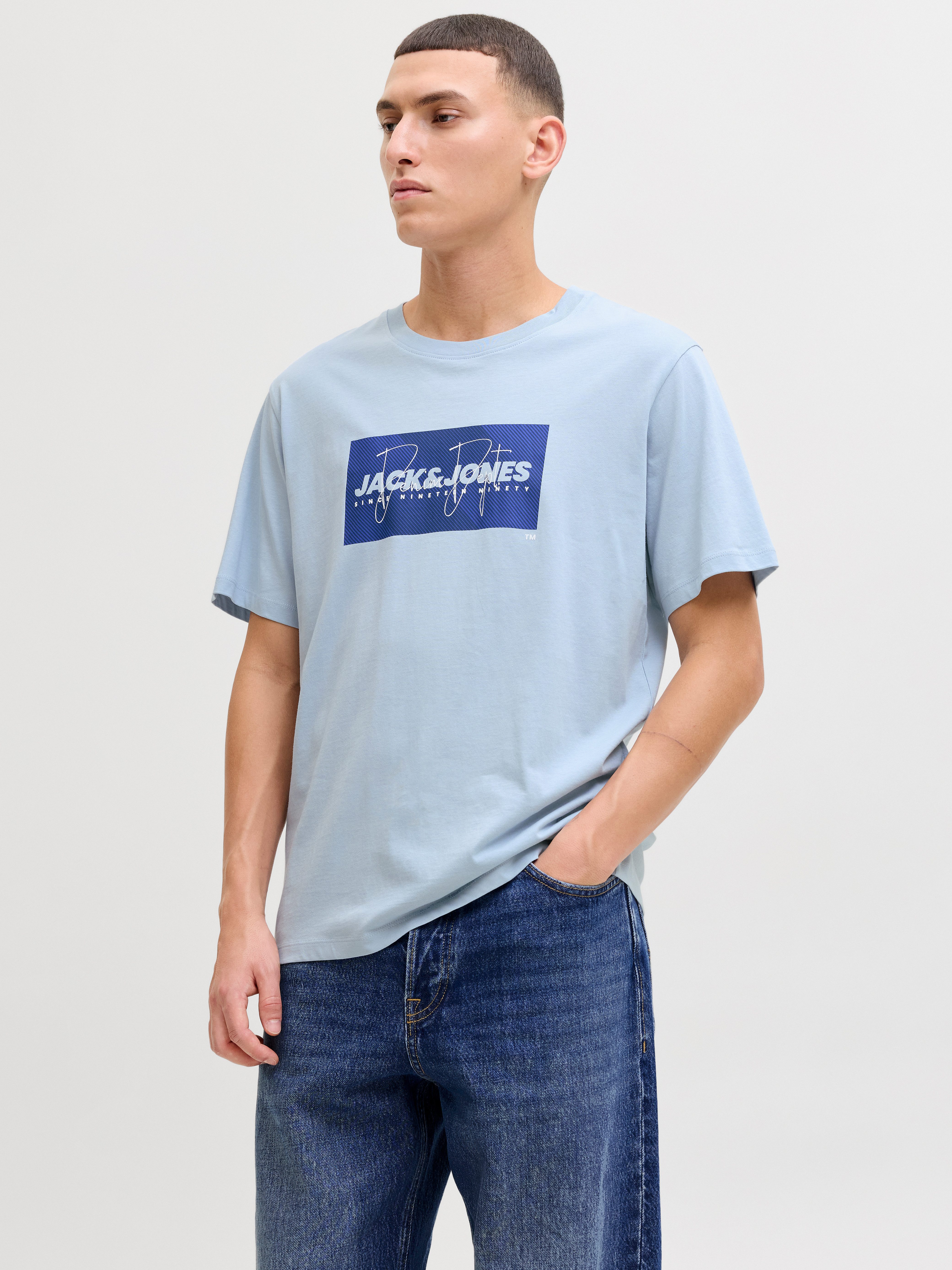 Rundhalsshirt JJCOLE PRINT TEE SS CREW NECK