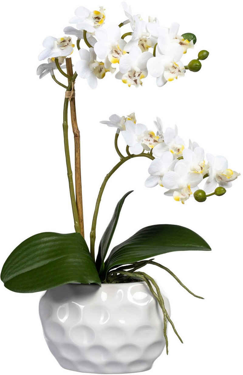 Kunstorchidee »Phalaenopsis« Orchidee Phalaenopsis, Creativ green, Höhe 40 cm, in Keramikvase