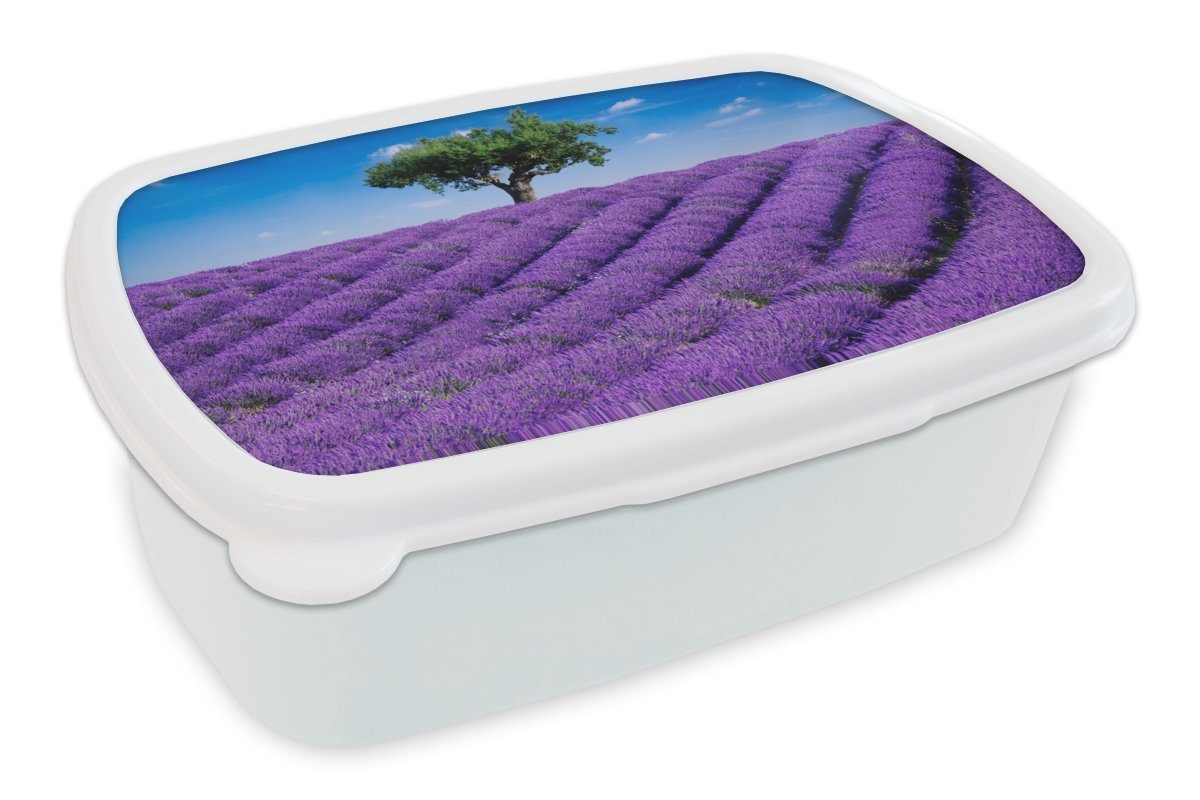 MuchoWow Lunchbox Eine Nahaufnahme eines Lavendelfeldes, Kunststoff, (2-tlg), Brotbox für Kinder und Erwachsene, Brotdose, für Jungs und Mädchen weiß