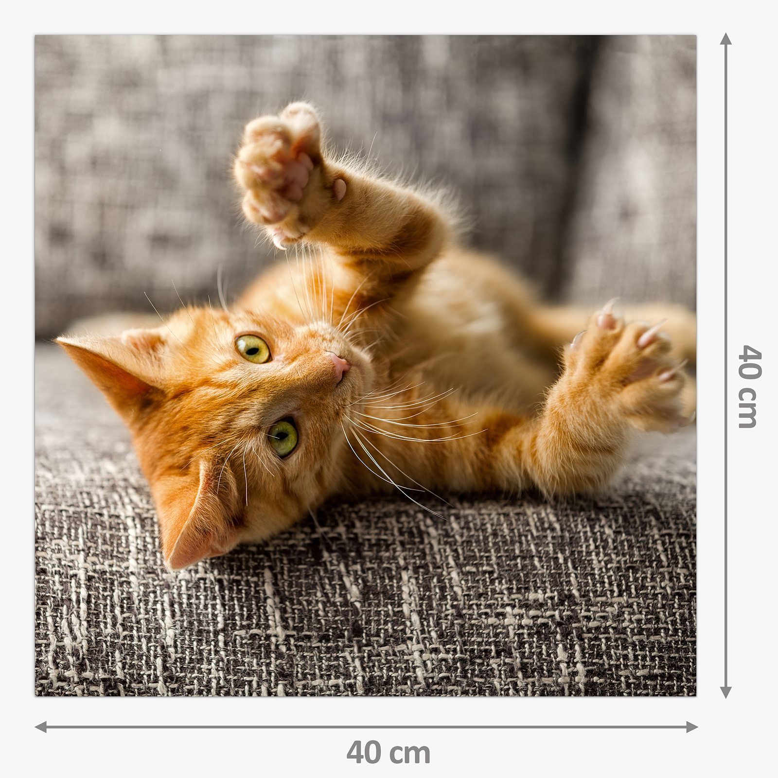 Bett Motiv Katze Primedeco Spritzschutz Küchenrückwand mit auf Küchenrückwand Glas spielt