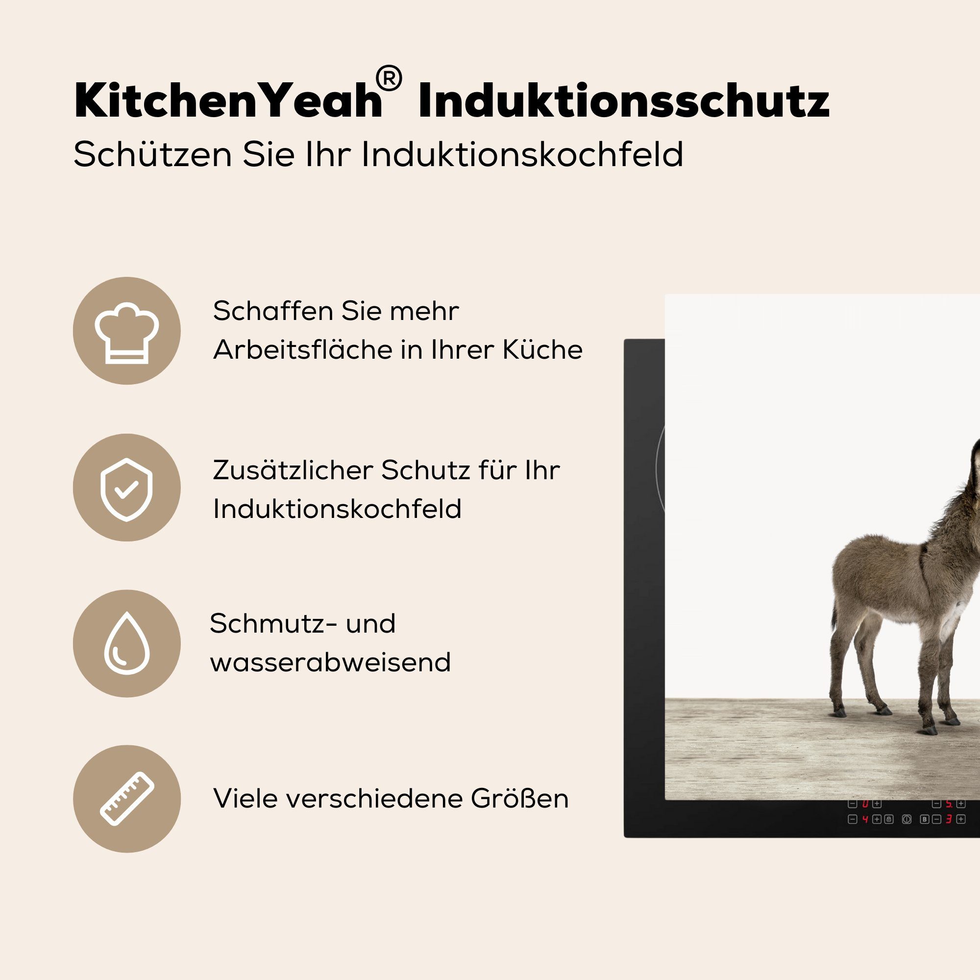 küche MuchoWow - (1 Ceranfeldabdeckung, für 78x78 cm, Tiere Esel Herdblende-/Abdeckplatte Arbeitsplatte tlg), Grau, Vinyl, -