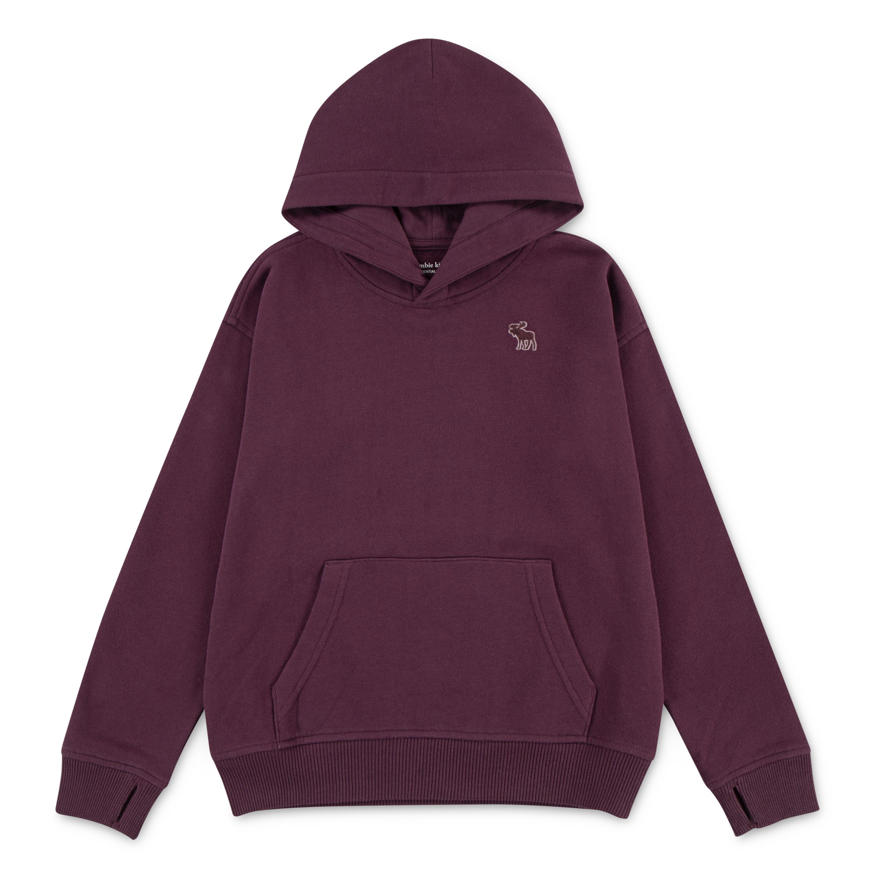 Abercrombie Kids Kapuzensweatshirt AFB ESSENTIALS FLEECE HO mit Logo-Stickerei, for boys