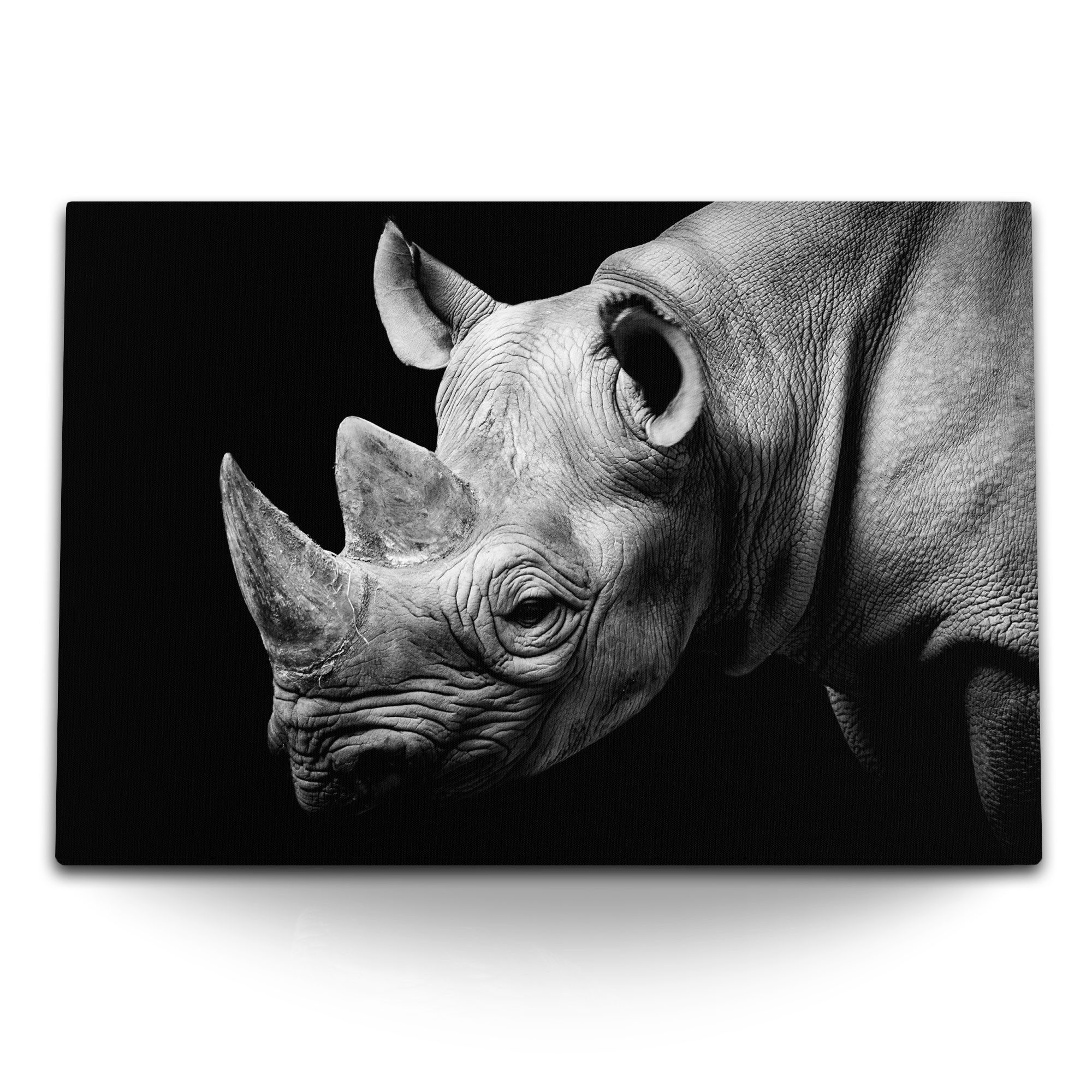 Leinwandbild 120x80cm Wandbild auf Leinwand Tierfotografie Nashorn Schwarz Weiß Kun