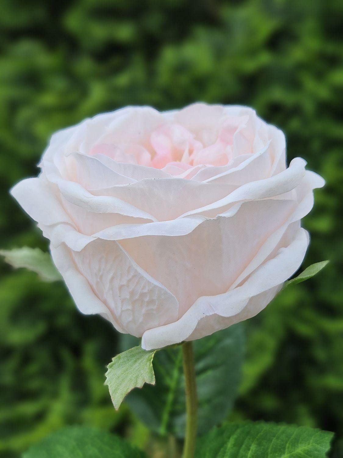 Kunstblume Rose MARNUK, Creme-Aprikose, 60cm Rose (Kohl-Rose), artplants, Höhe 60.0 cm