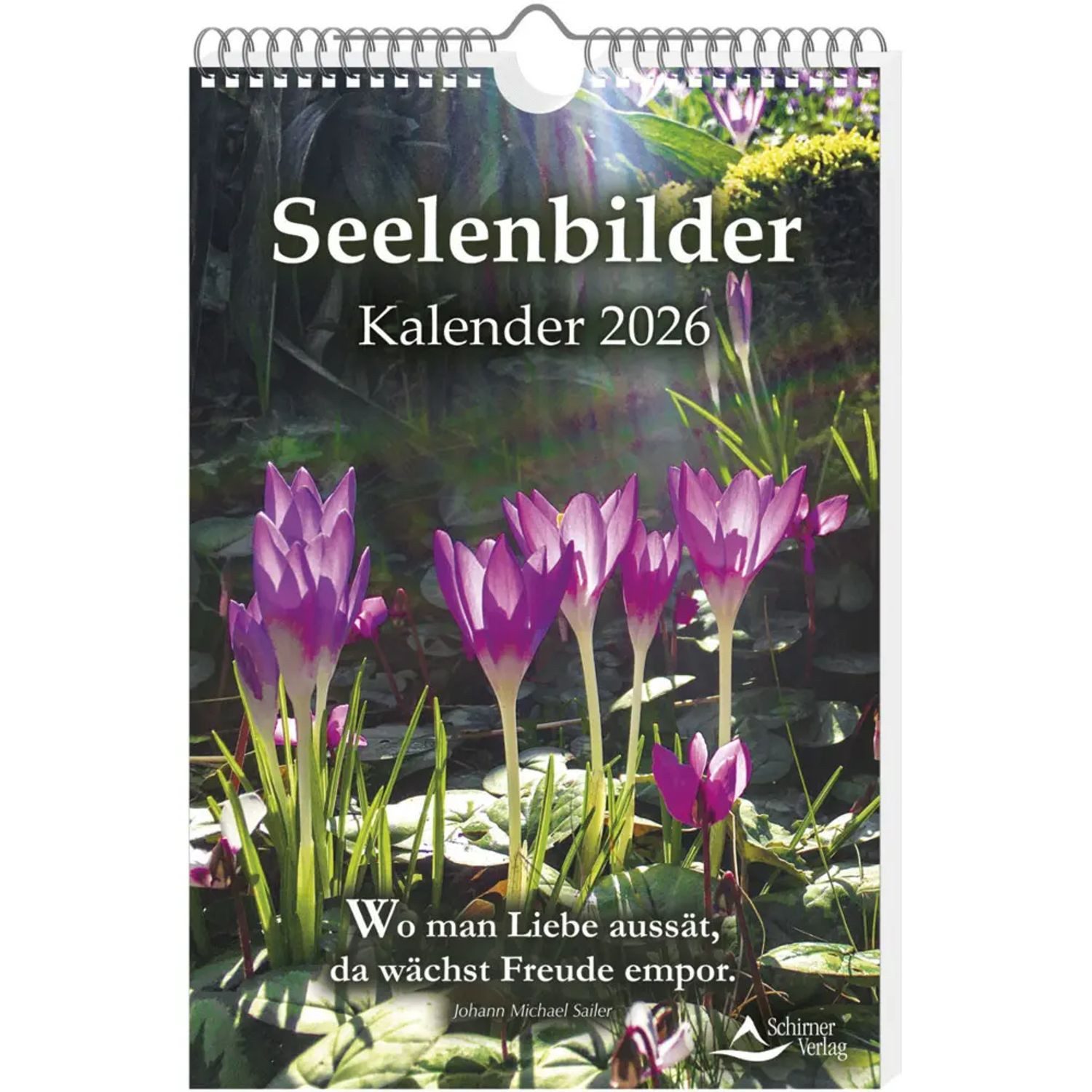 Wandkalender Seelenbilder-Kalender 2026