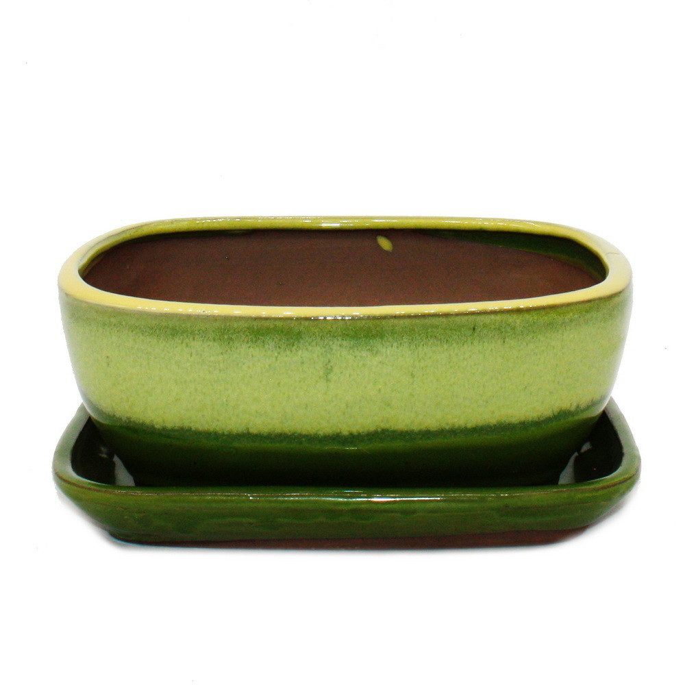 Exotenherz Pflanzschale Bonsai-Schale Unterteller Gr. 3 günstig online kaufen