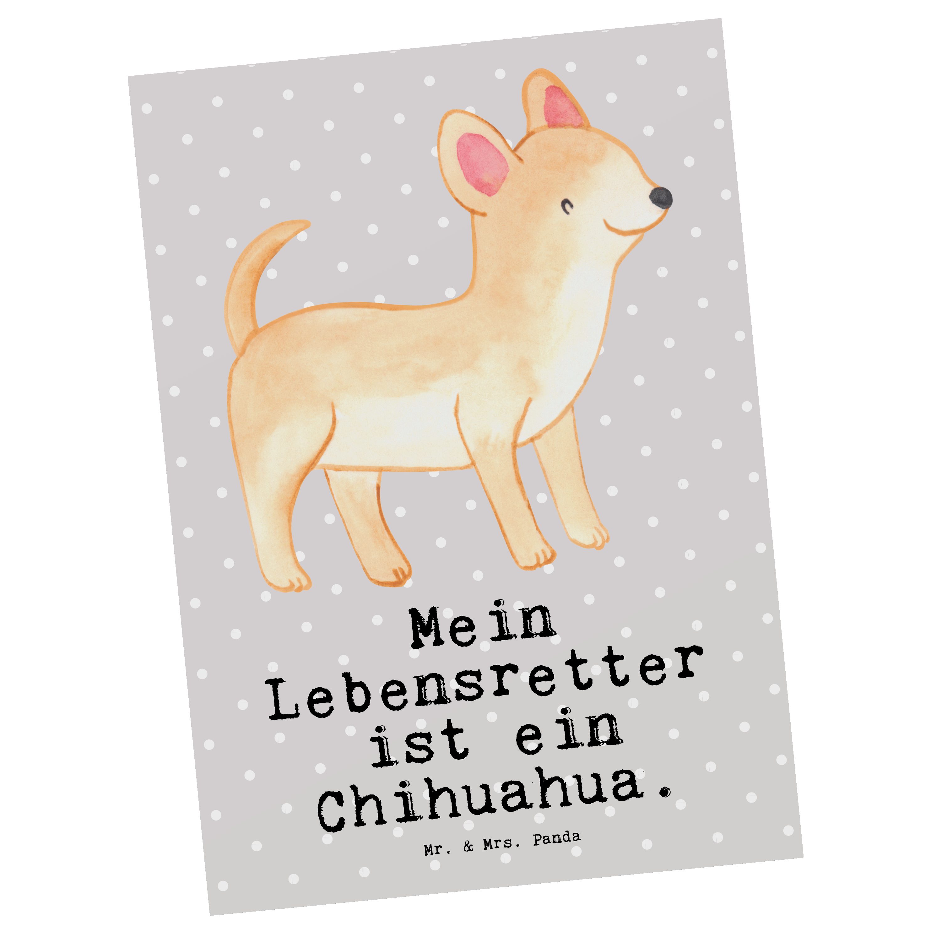 Mr. & Mrs. Panda Postkarte Chihuahua Lebensretter - Grau Pastell - Geschenk, Geburtstagskarte, H