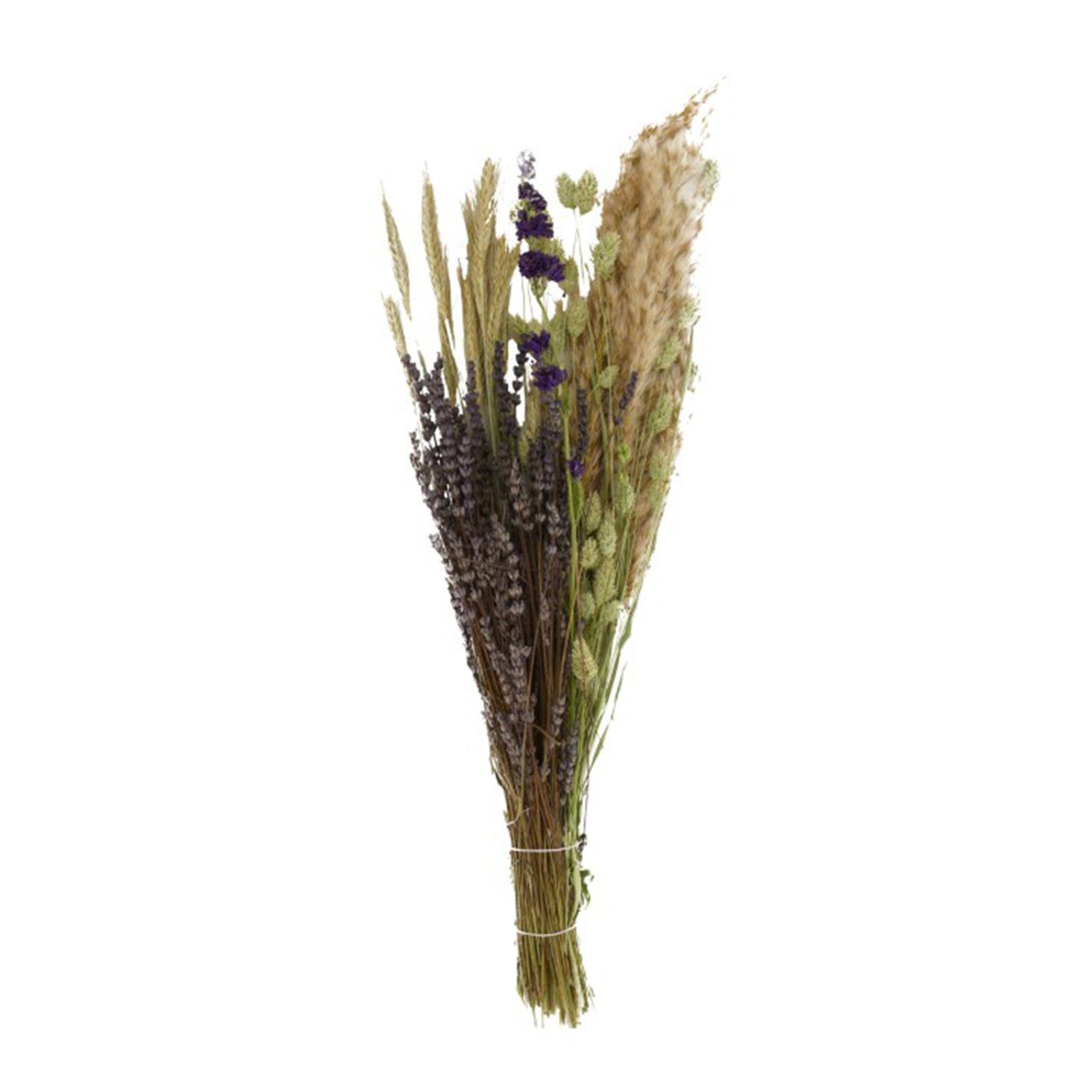 - Blumenstrauß Getrockneter - bouquet DIJK flower dried 79 Trockenblume natur cm,