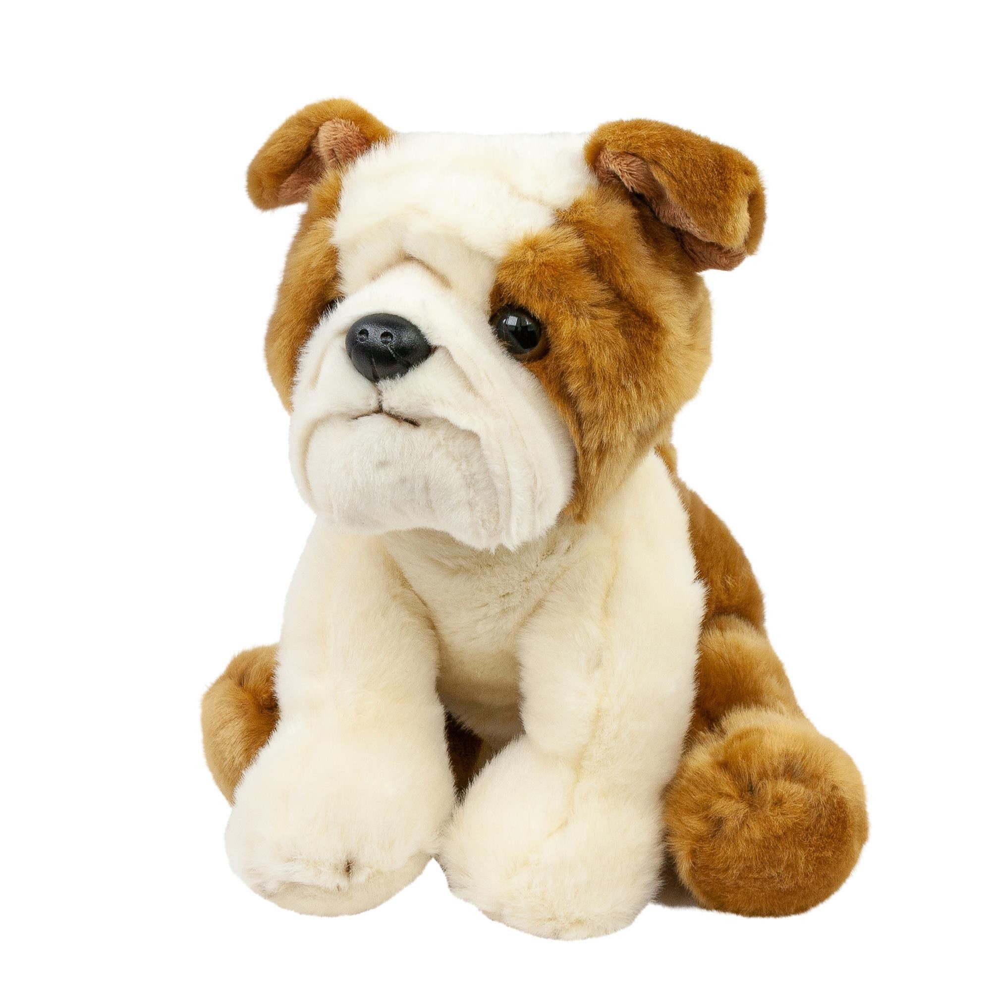 Teddys Rothenburg Kuscheltier Französische Bulldogge 26 cm sitzend braun-weiß Plüschhund