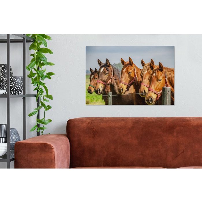 OneMillionCanvasses® Leinwandbild Pferde - Zaun - Sommer (1 St) Wandbild Leinwandbilder Aufhängefertig Wanddeko SY12536