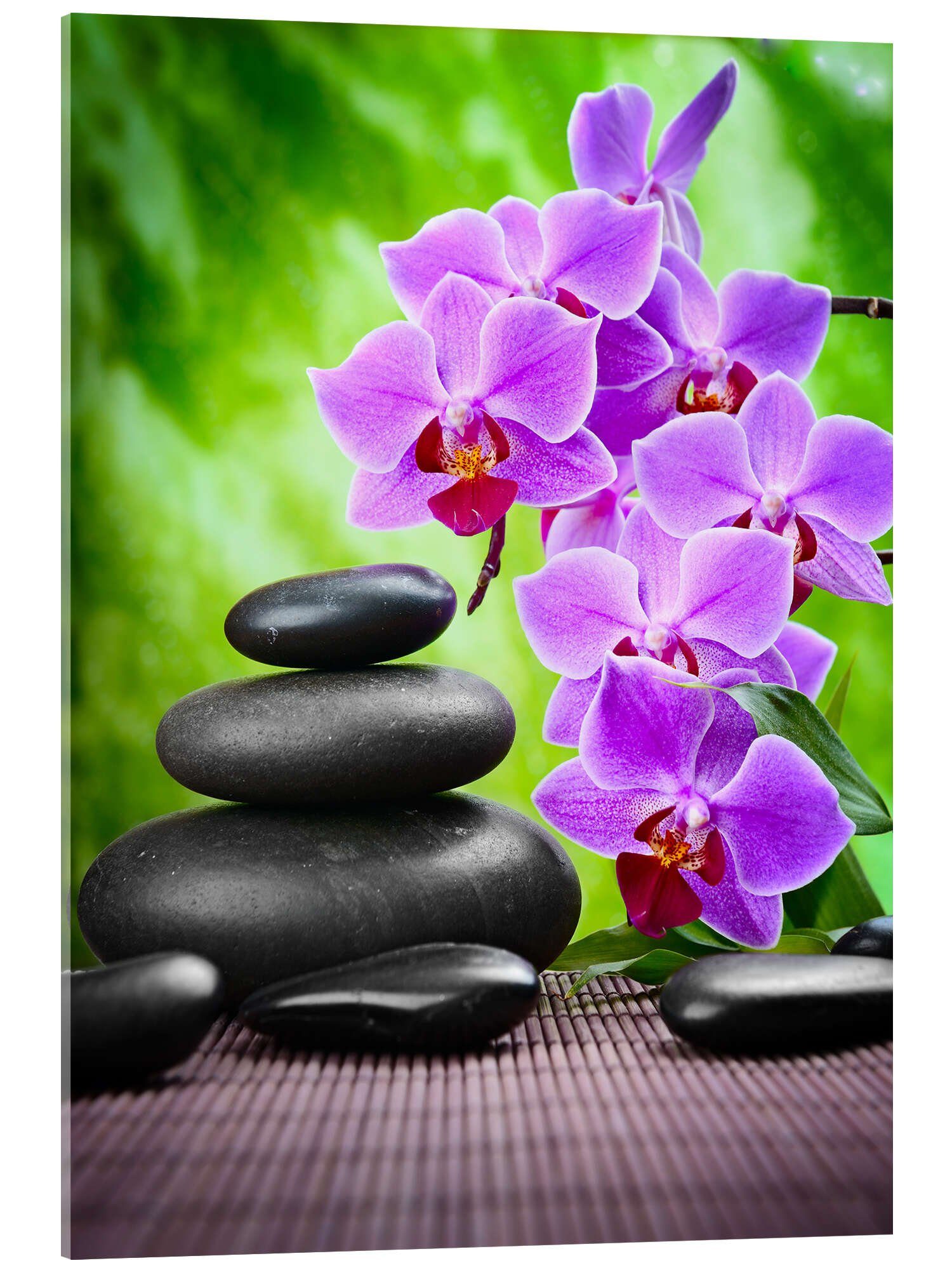 Posterlounge Wandbild Zen-Basaltsteine und Orchidee, Editors Choice, erhältlich als Poster, Leinwandbild, Wandsticker oder Acrylglasbild