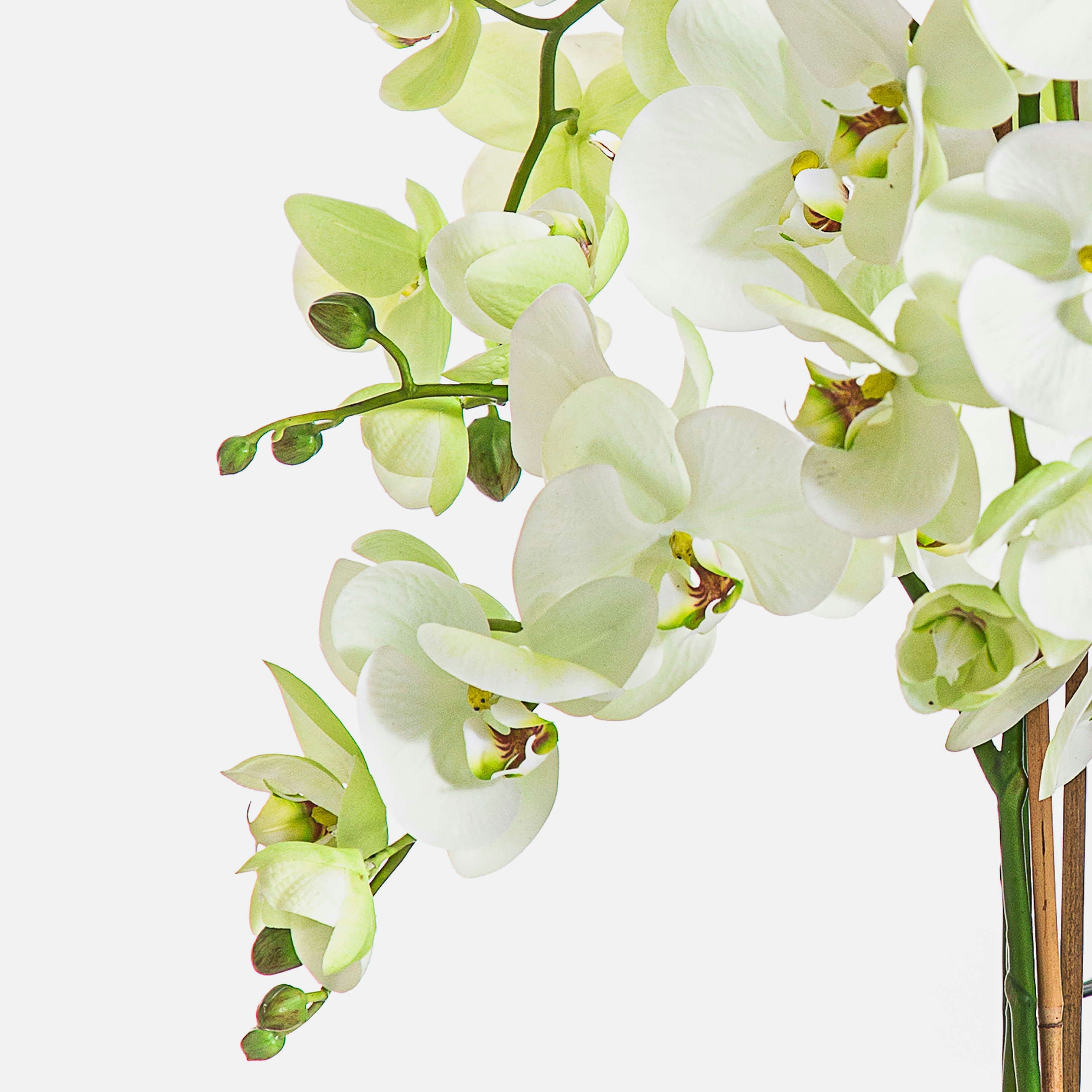 Kunstorchidee Künstliche Orchidee FINEA im Dekotopf, Creme, 85cm Orchidee (Orchidee phalaenopsis), artplants, Höhe 85.0 cm