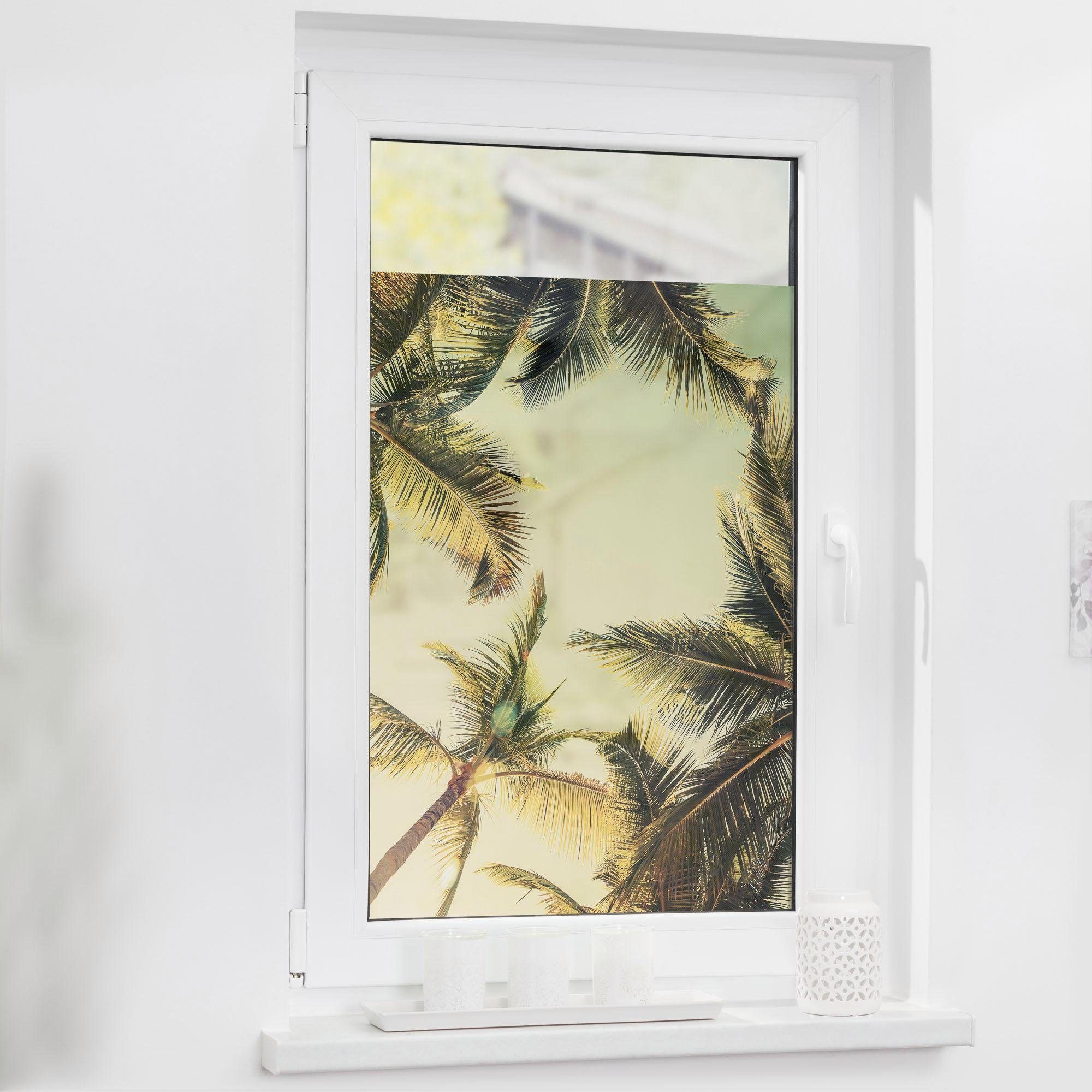 LICHTBLICK ORIGINAL Fensterfolie Palmen und Sonne, günstig online kaufen