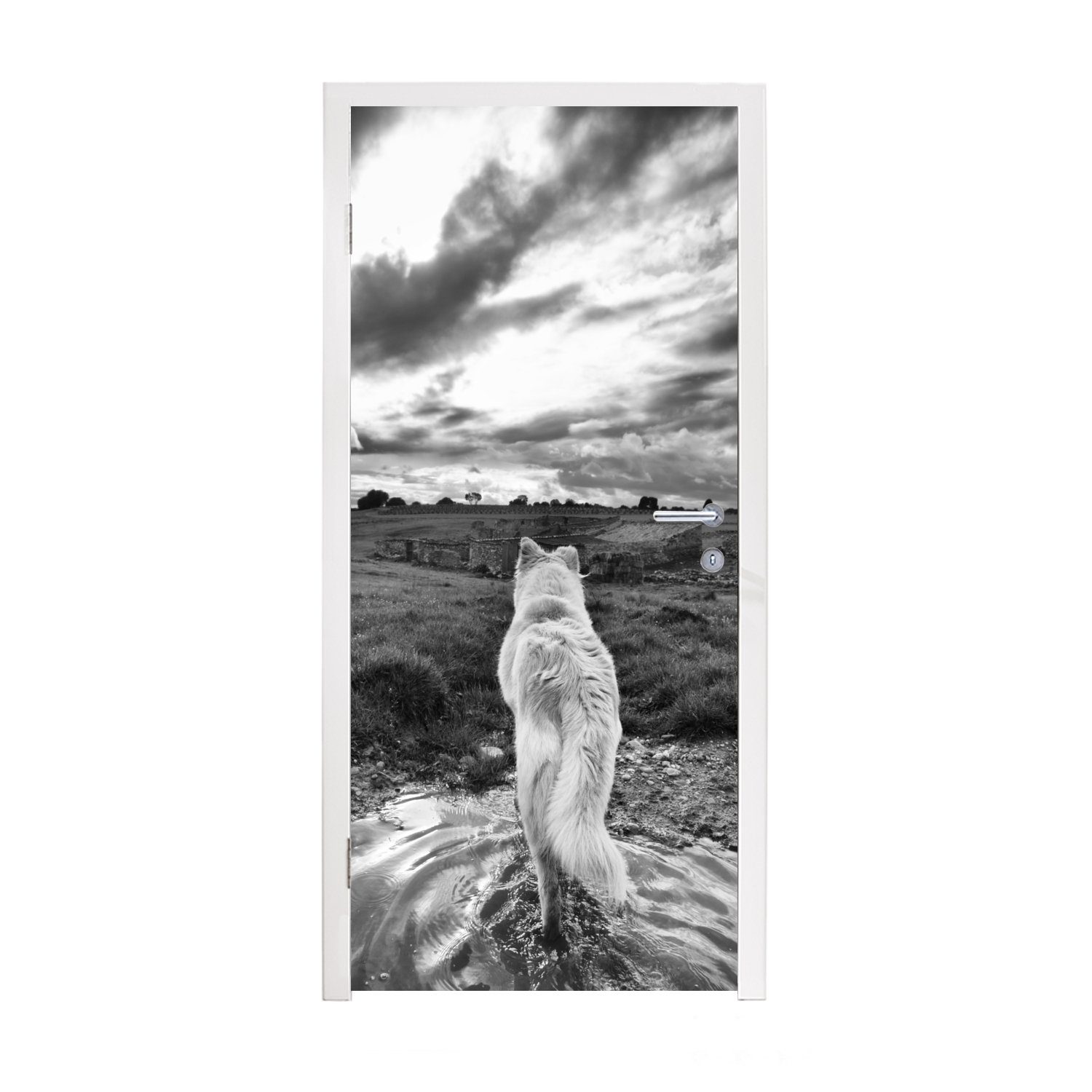 MuchoWow Türtapete Wolf mit Blick auf die Landschaft in Schwarz und Weiß, Matt, bedruckt, (1 St), Fototapete für Tür, Türaufkleber, 75x205 cm
