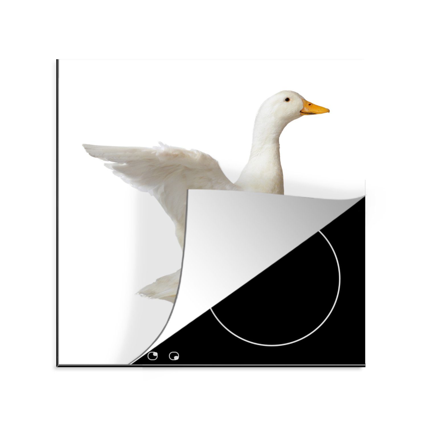 MuchoWow Herdblende-/Abdeckplatte Weiße Ente, die mit den Flügeln schlägt, Vinyl, (1 tlg), 78x78 cm, Ceranfeldabdeckung, Arbeitsplatte für küche