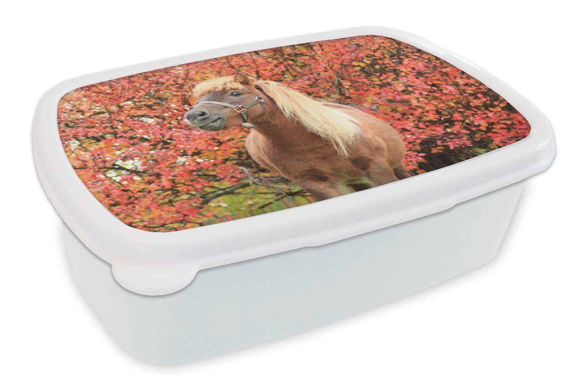 MuchoWow Lunchbox Pferd - Pony - Herbstblätter, Kunststoff, (2-tlg), Brotbox für Kinder und Erwachsene, Brotdose, für Jungs und Mädchen weiß
