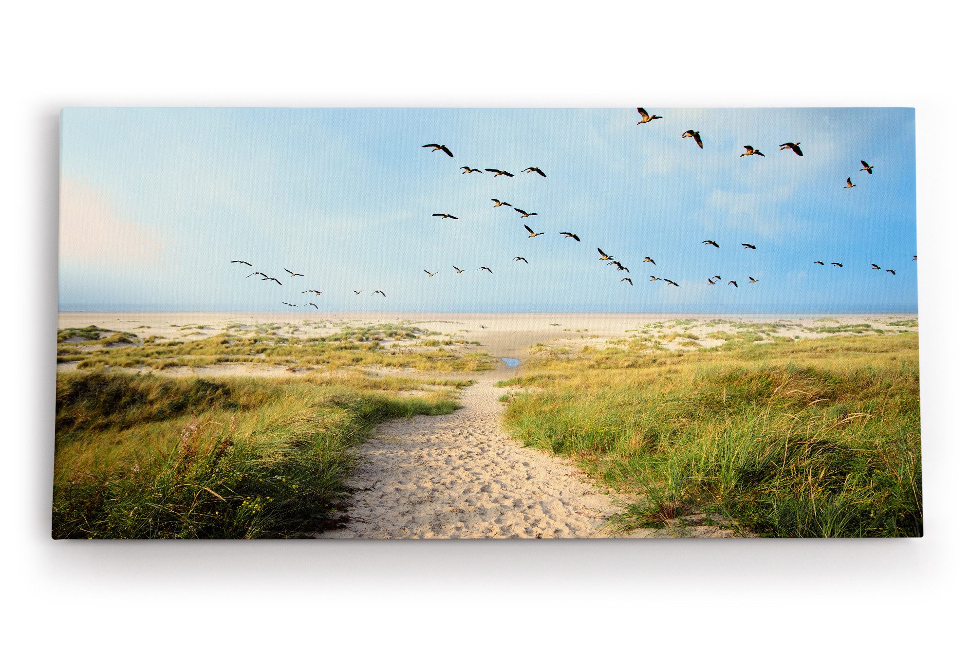 Leinwandbild Ostsee Strand Sand Meer Entenflug Horizont