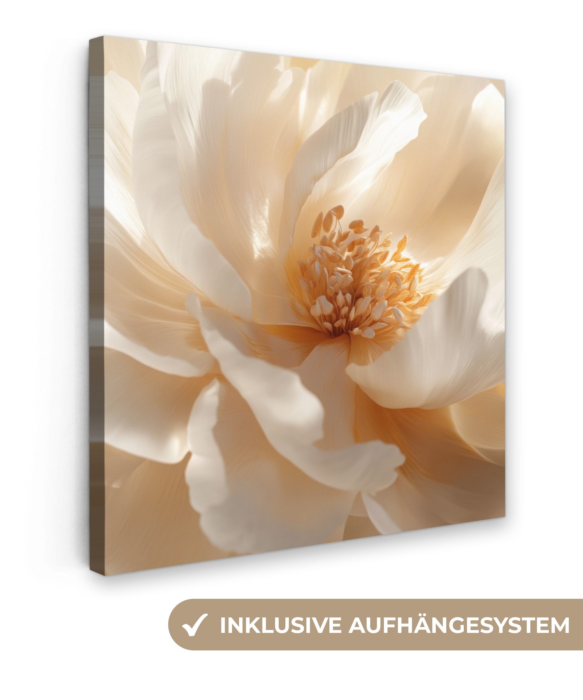OneMillionCanvasses® Leinwandbild Nahaufnahme - Pfingstrose - günstig online kaufen