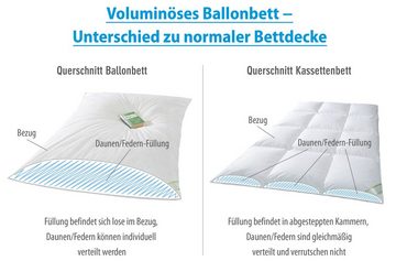 Federbettdecke, Ballonbett 30% halbweiße Daunen, franknatur, Füllung: 30% Daunen, 70% Federn, Bezug: 100% Baumwolle, Warme Winter-Daunendecke mit Feder und Daunen