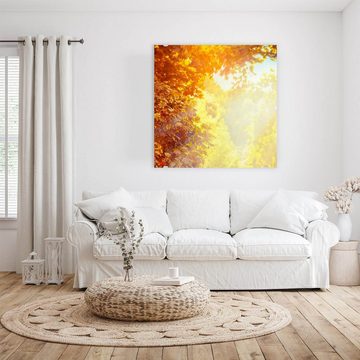 Primedeco Glasbild Wandbild Quadratisch Sonne im Herbst mit Aufhängung, Natur