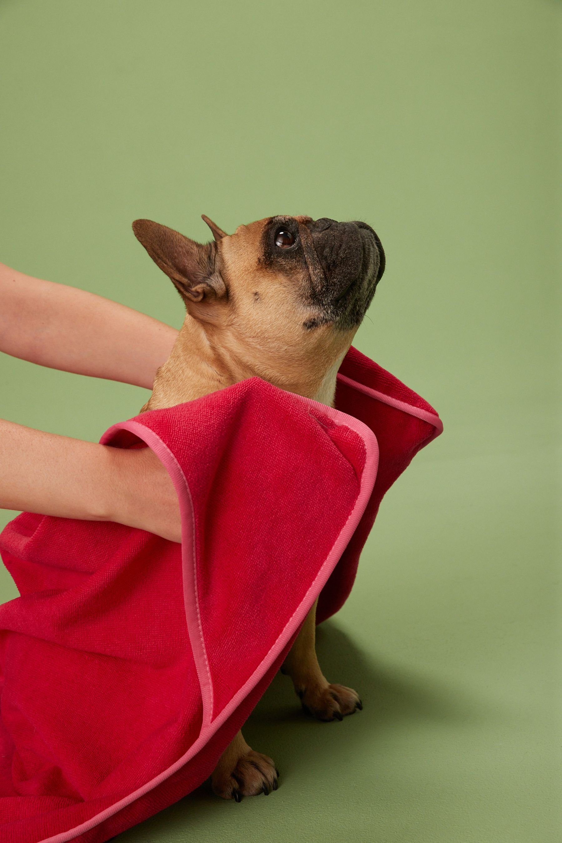 Next Handtuch Handtuch zum Abtrocknen von Haustieren, (1-St)