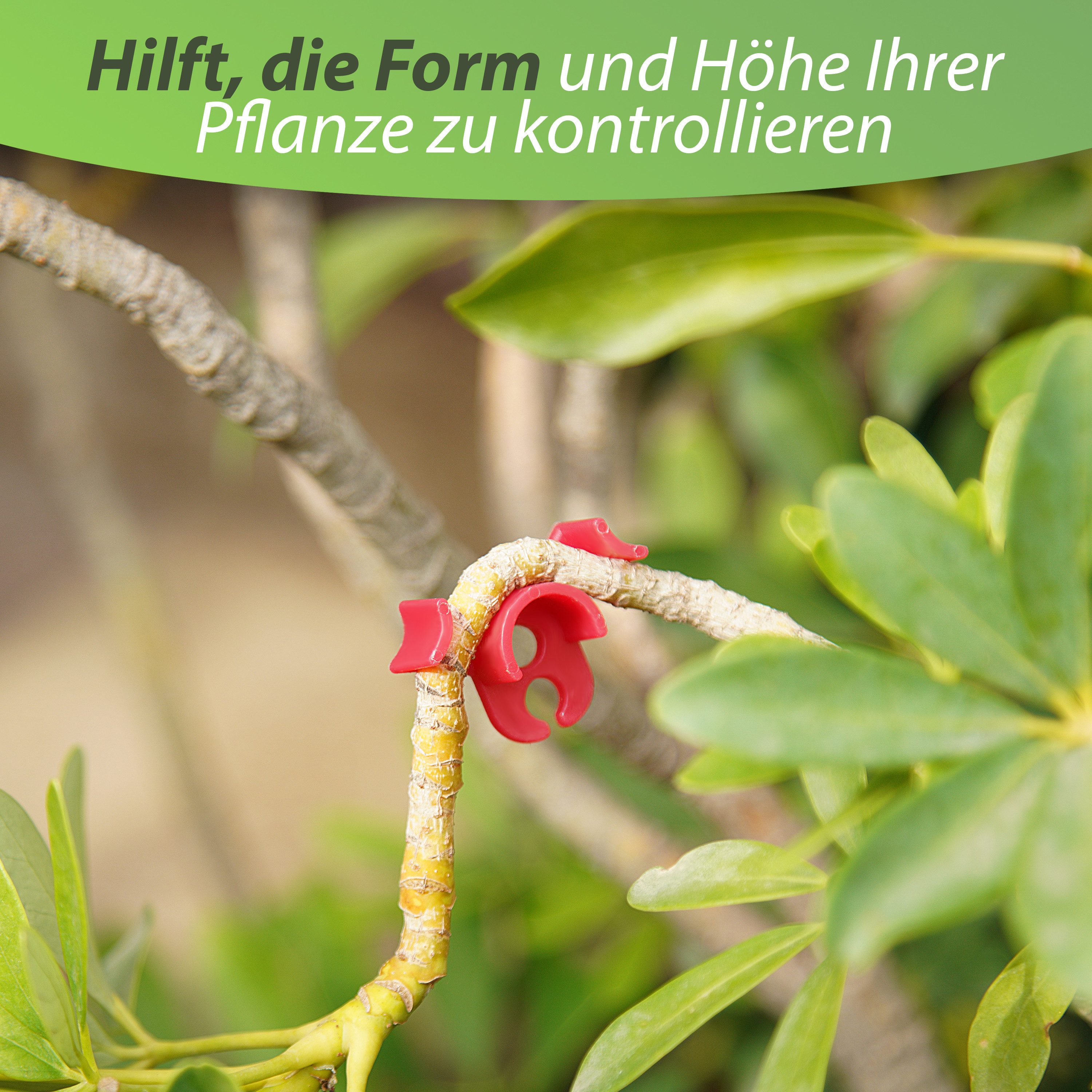Grow Expert Gartenpflege-Set 40 Stück Pflanzenbieger Winkel Grow LST Clips für Low Stress