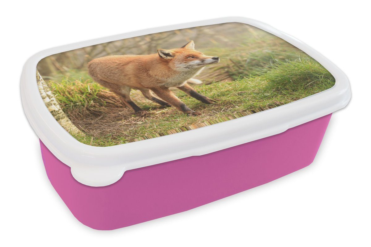 MuchoWow Lunchbox Fuchs - Wald Kinder, Licht, Mädchen, Erwachsene, Kunststoff, Brotbox (2-tlg), Snackbox, Brotdose - für Kunststoff rosa