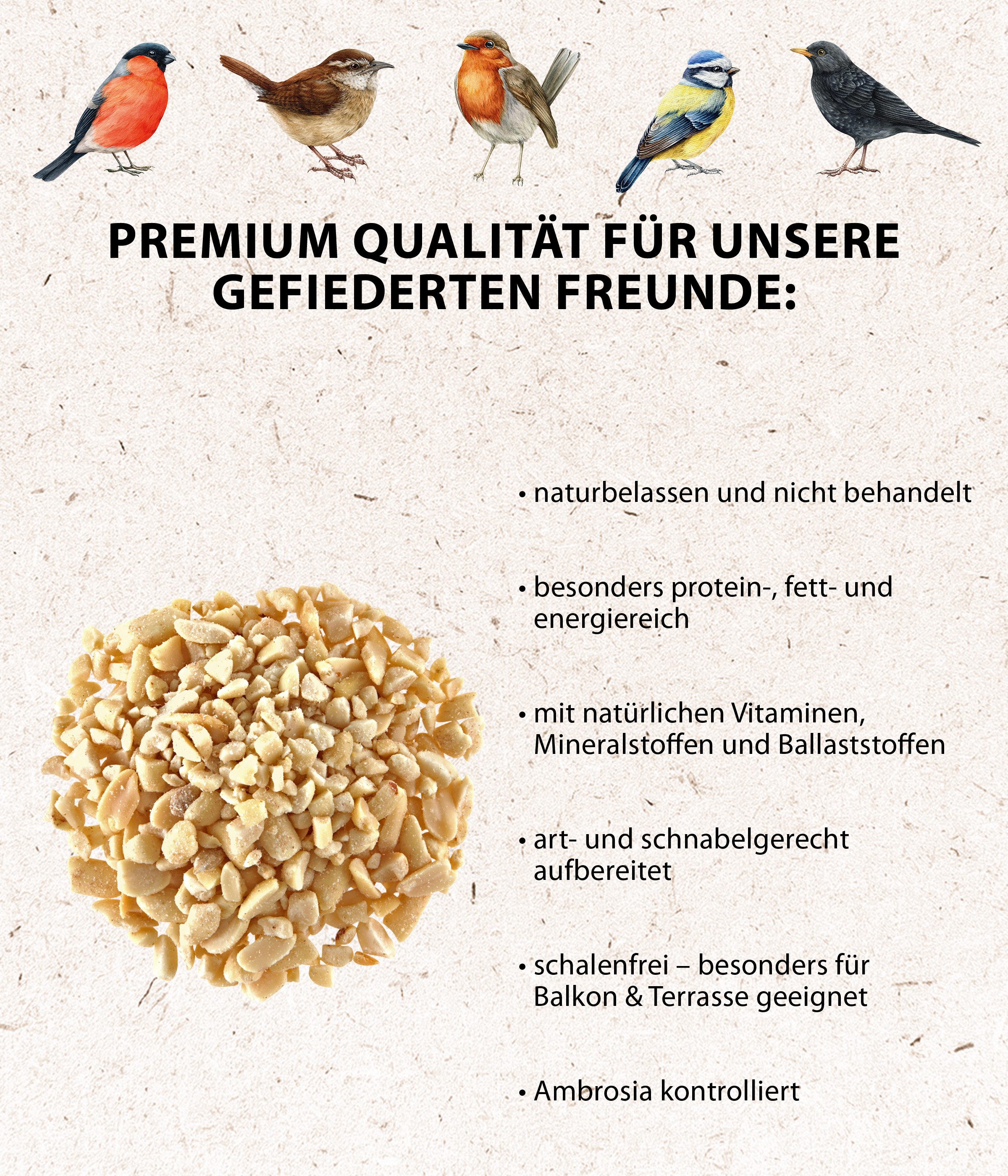 Dehner Natura Premium Erdnusskerne gehackt, Wildvogelfutter schalenfrei Erdnuss, Kraftfutter für: Gartenvögel, Wildvogel, hochwertiges Fettfutter für Meise, Rotkehlchen, Amsel, Buchfink