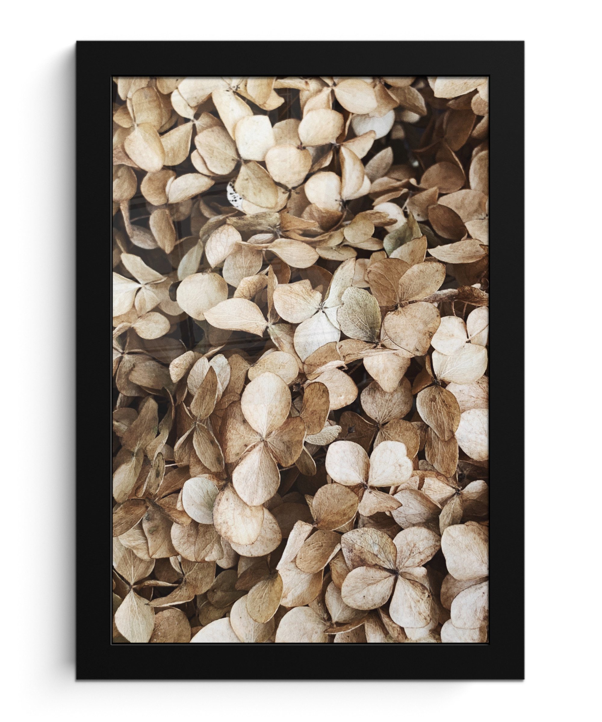 MuchoWow Poster Blätter - Beige - günstig online kaufen