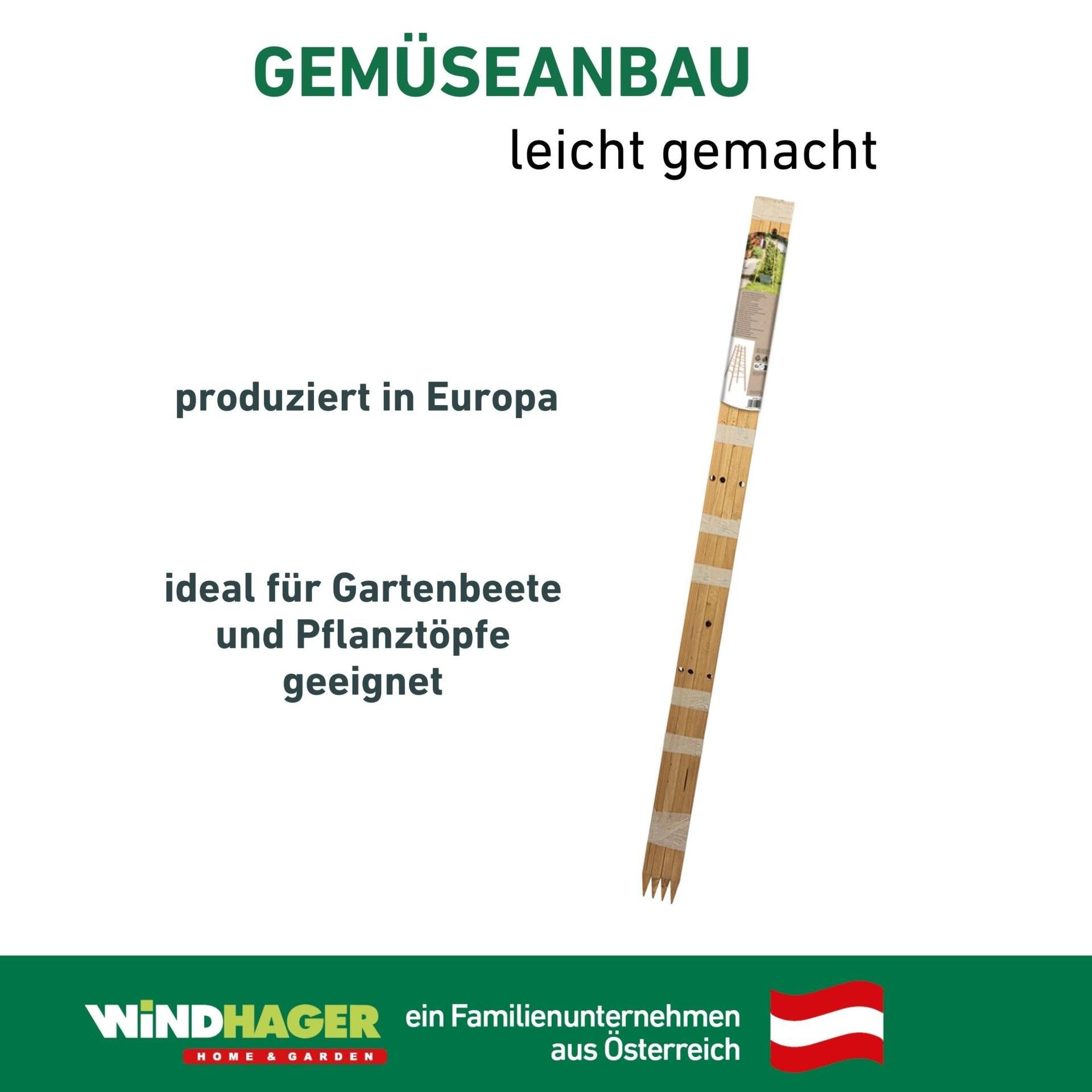 Windhager Rankgitter Pyramide, Holz-Rankgerüst für Blumen und Gemüsepflanzen, 1 St., Kletterhilfe für den Garten, 50 x 50 x 145 cm