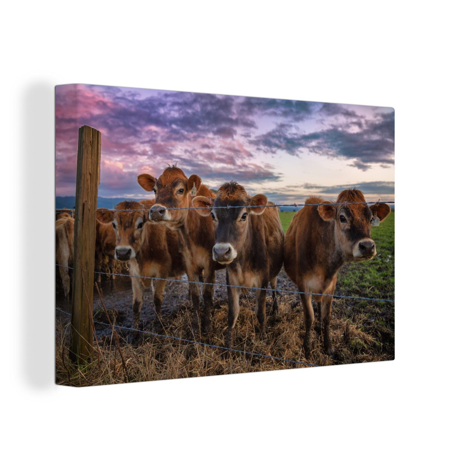 OneMillionCanvasses® Leinwandbild Kuh - Zaun - Himmel, (1 St), Wandbild Leinwandbilder, Aufhängefertig, Wanddeko, 30x20 cm