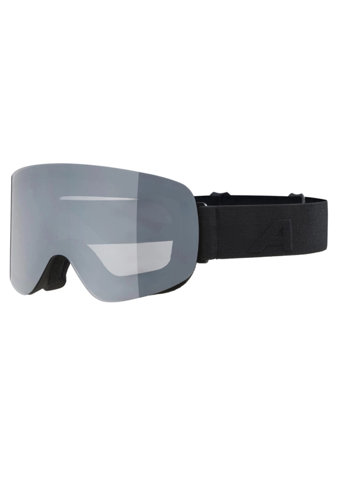 Alpina Sports Skibrille PENKEN,black matt