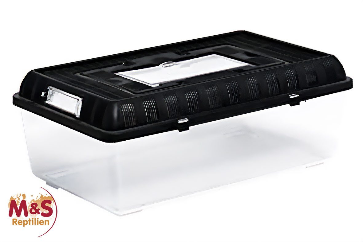 Terrarium ReptiZoo Plastikterrarium large 42x26x16 cm (RT2004B)